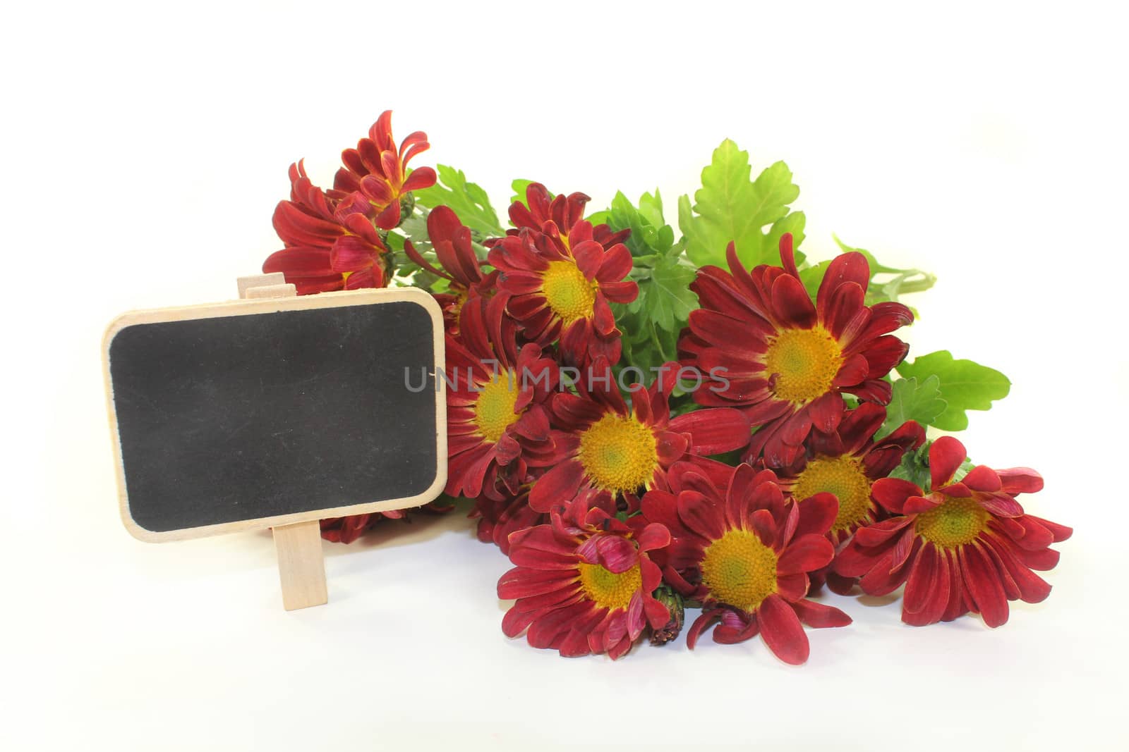 a small bouquet of chrysanthemums on a white background