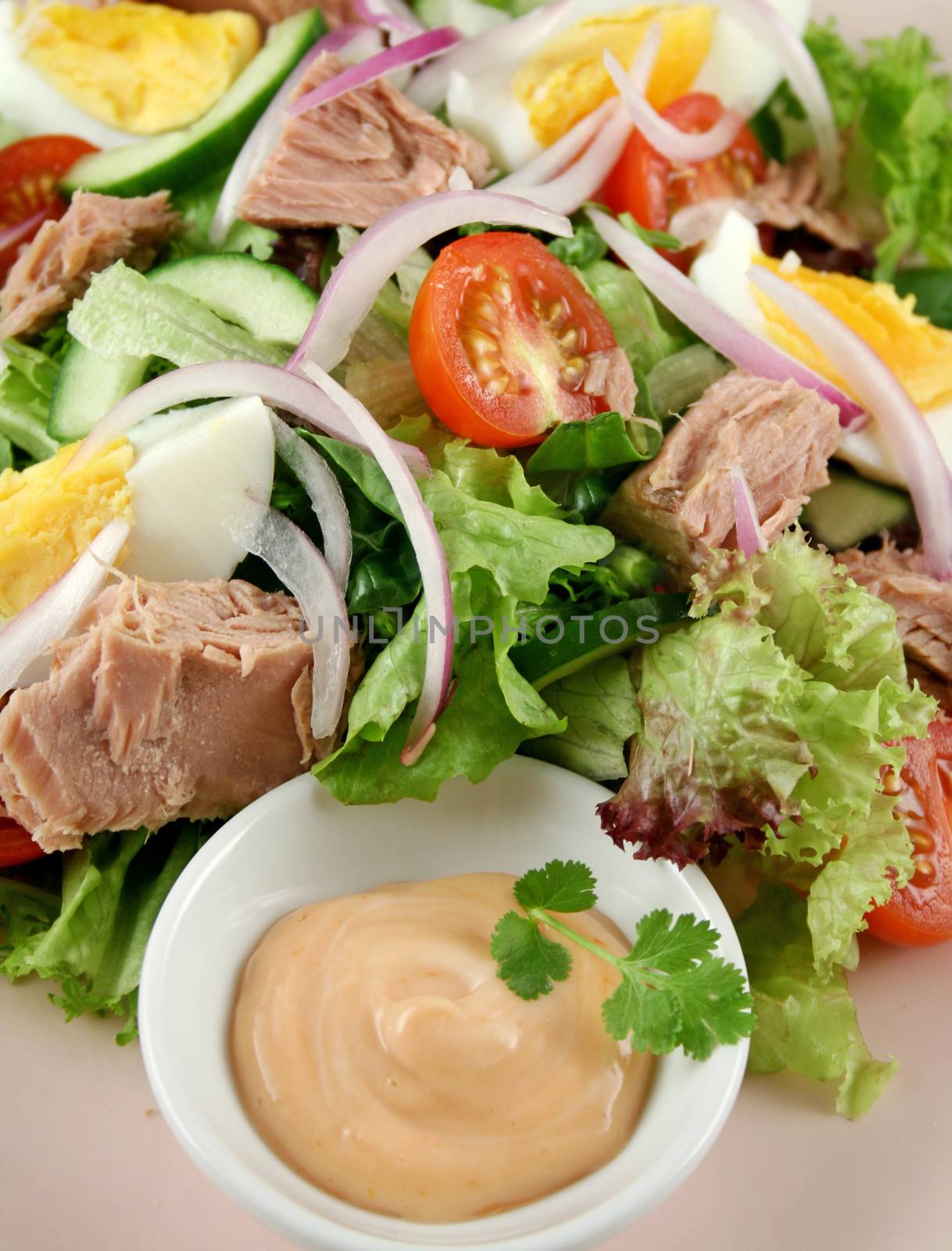 Freshly prepared tuna and egg salad with thousand island dressing.