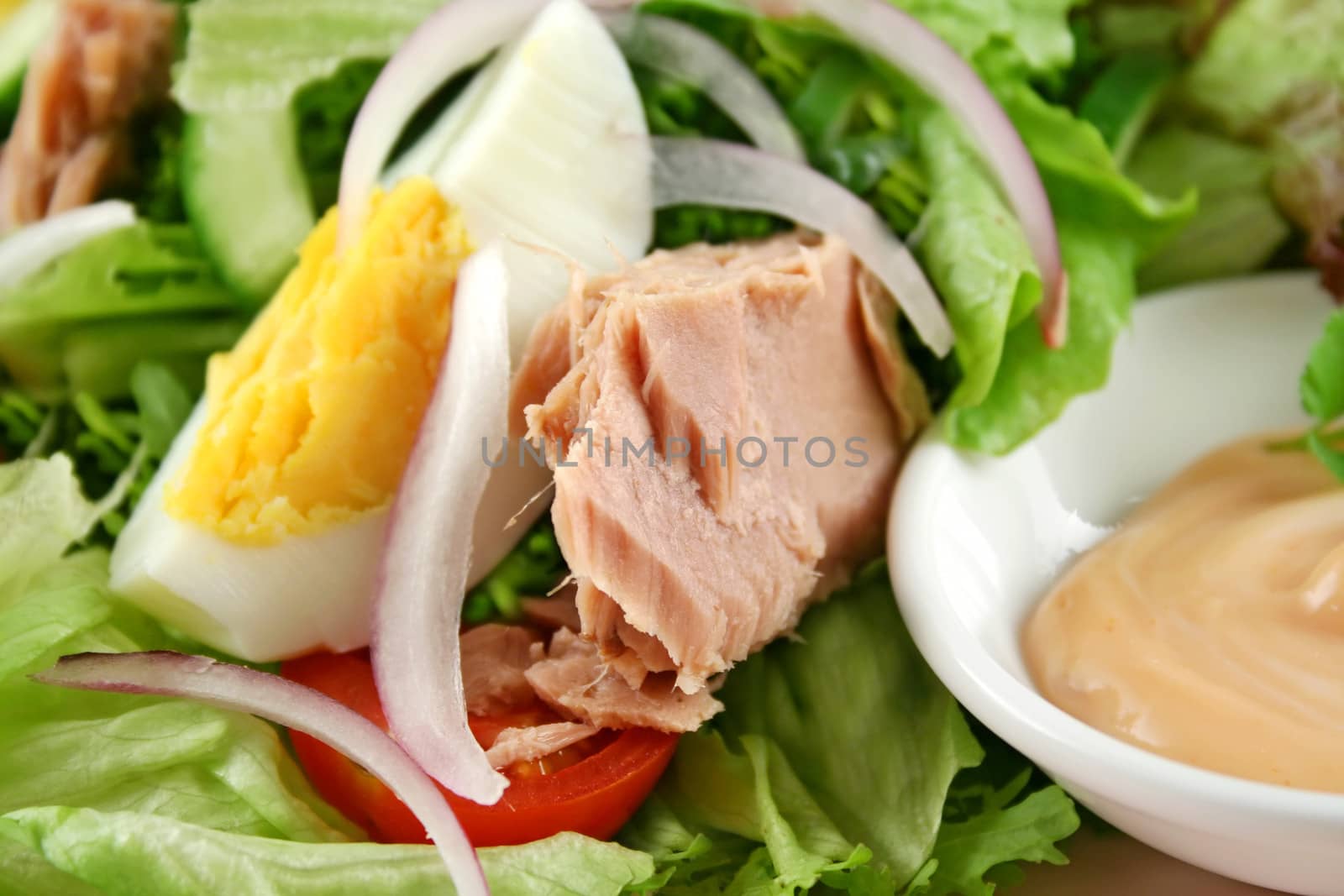 Egg And Tuna Salad by jabiru