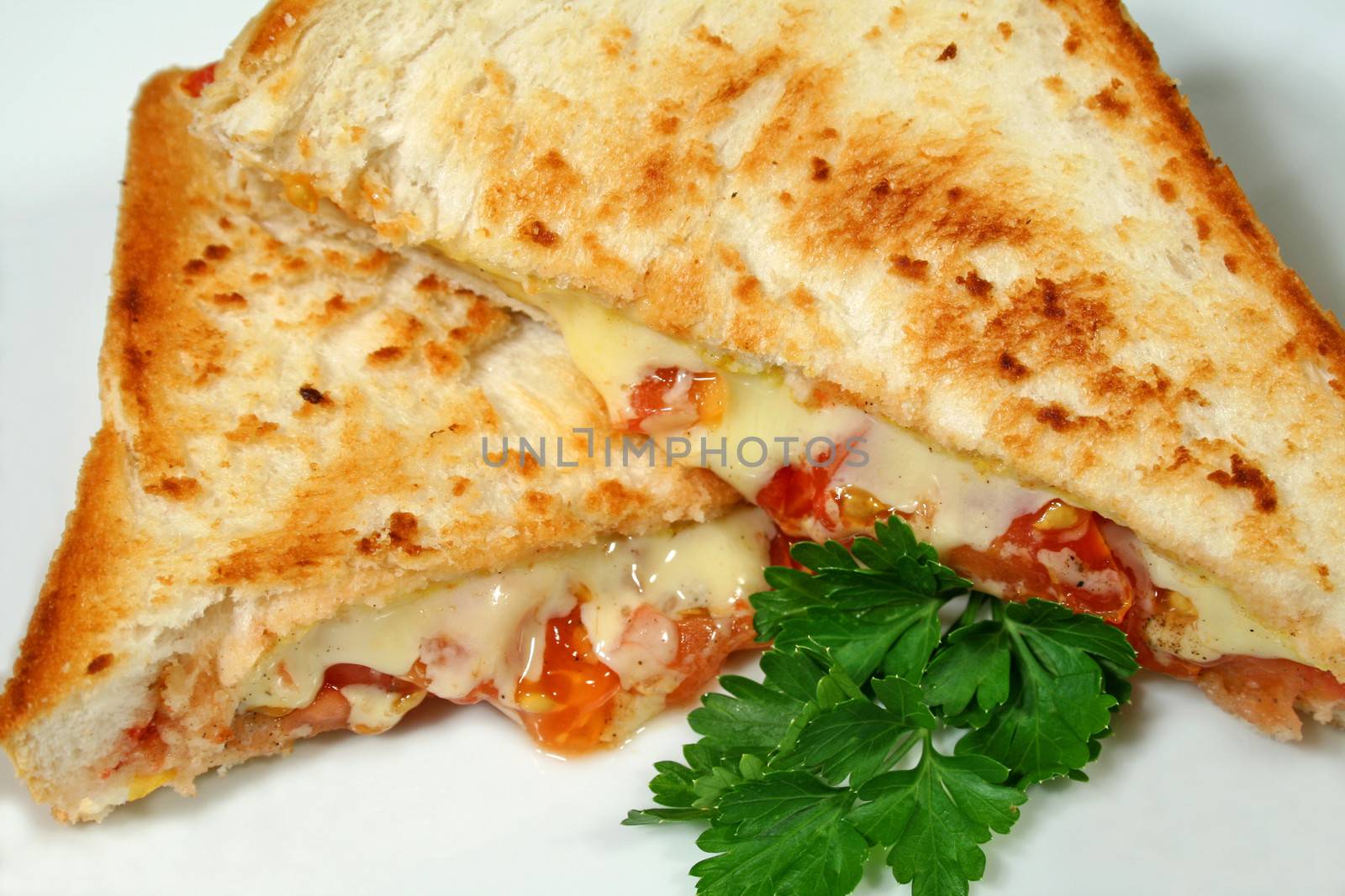 Yummy toasted cheese and tomato sandwiches with melted cheese.