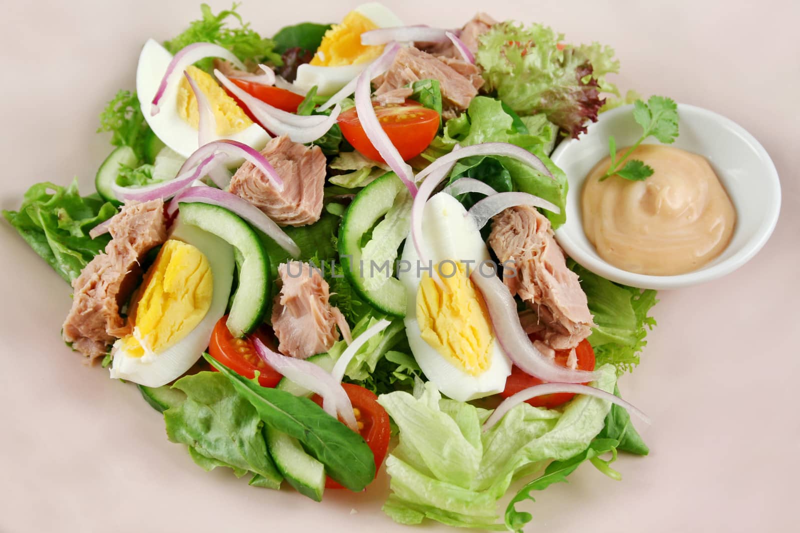 Freshly prepared tuna and egg salad with thousand island dressing.