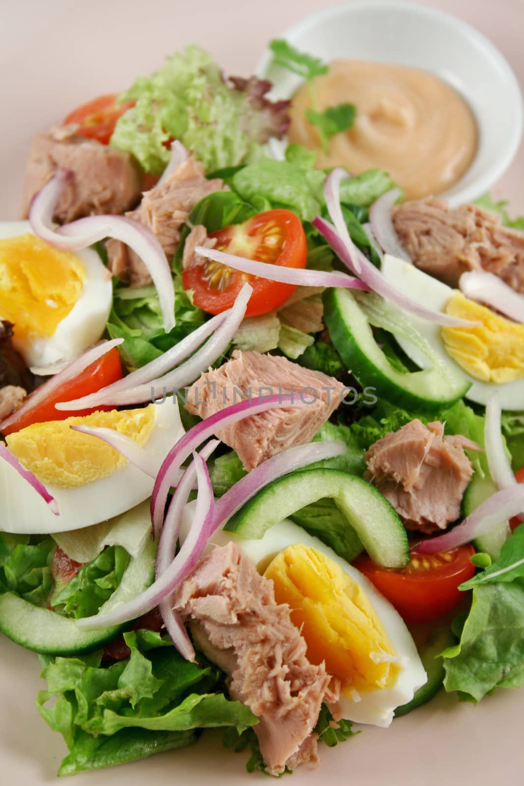 Freshly prepared tuna and egg salad with thousand island dressing.