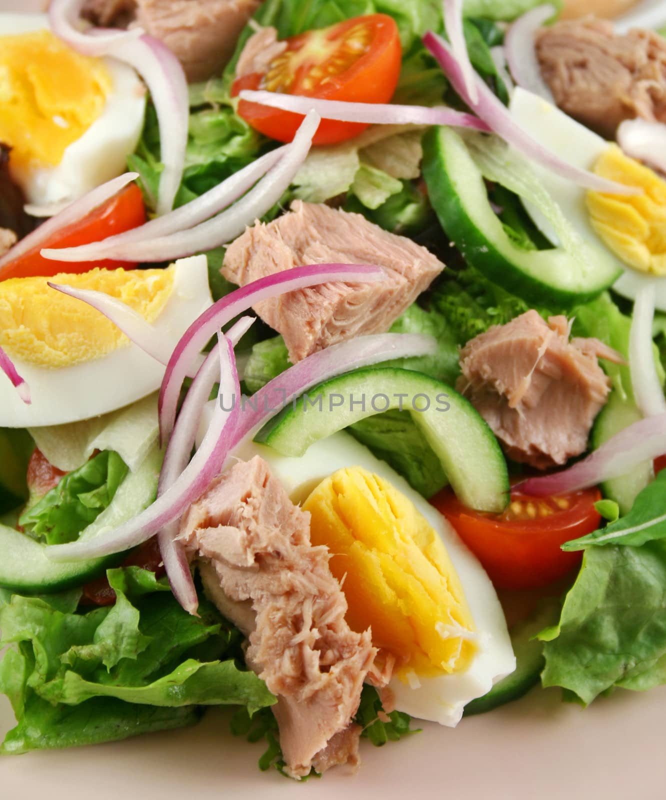 Tossed Tuna And Egg Salad by jabiru