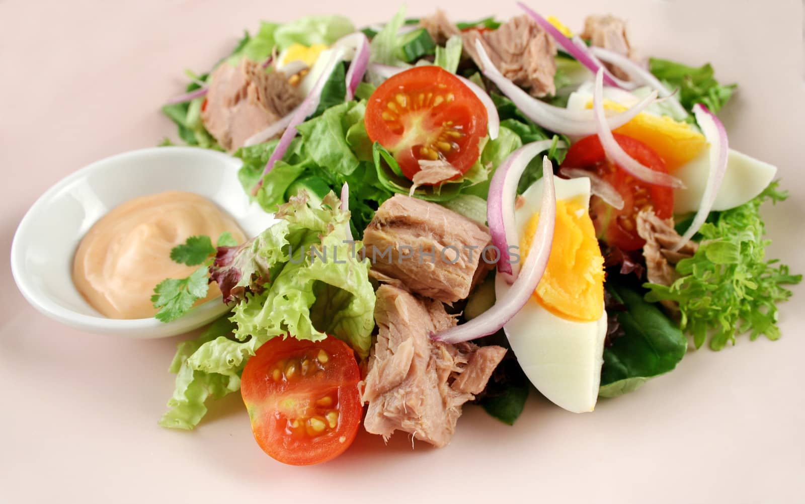 Tuna And Egg Salad  by jabiru