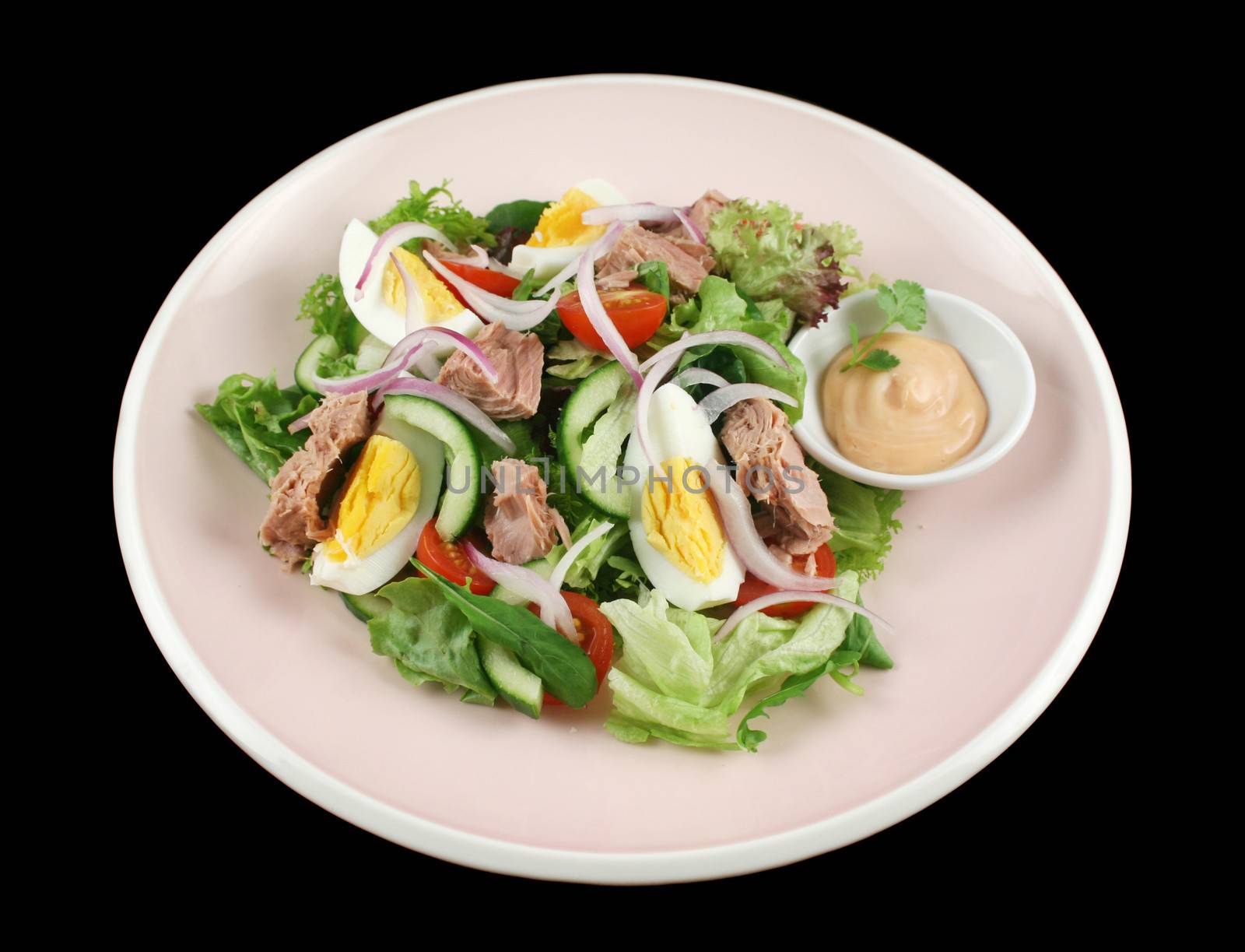 Tuna And Egg Salad by jabiru