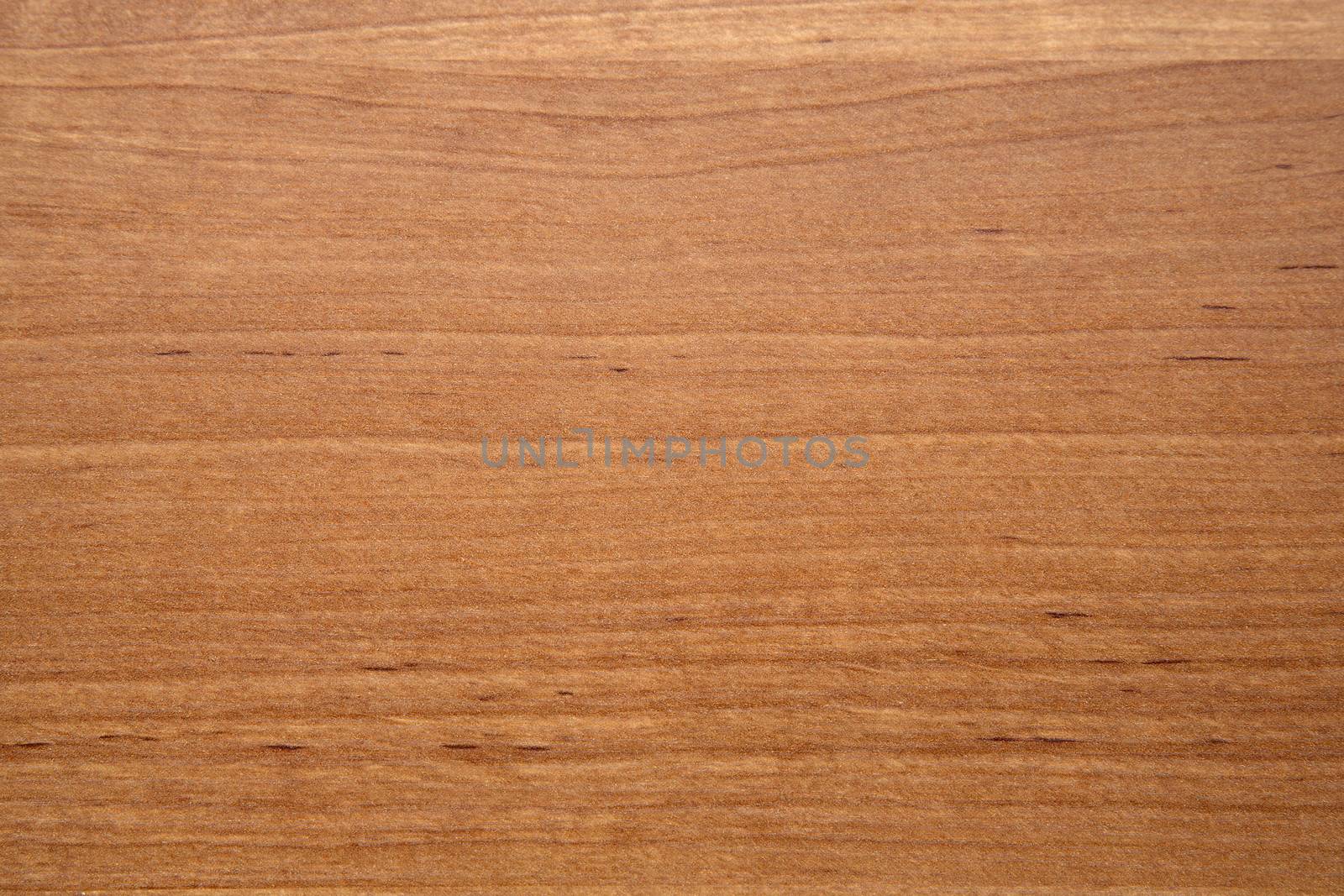 Wood background, wooden panel.