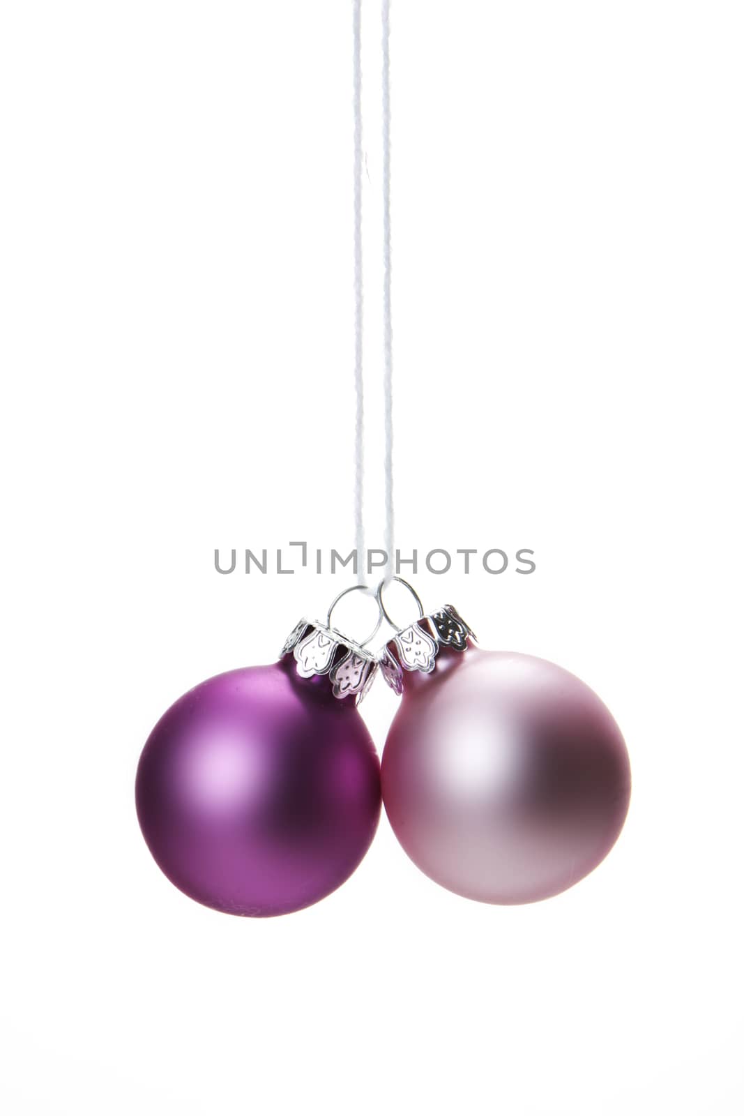 pink christmas balls isolated hanging with white background