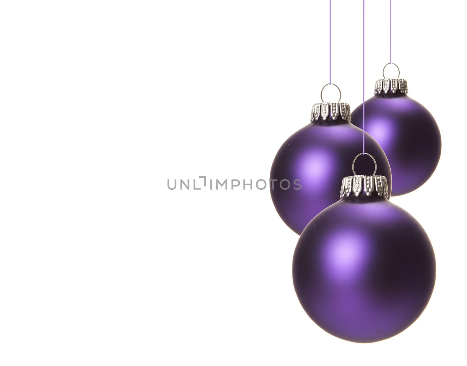 purple christmas balls isolated hanging with white background