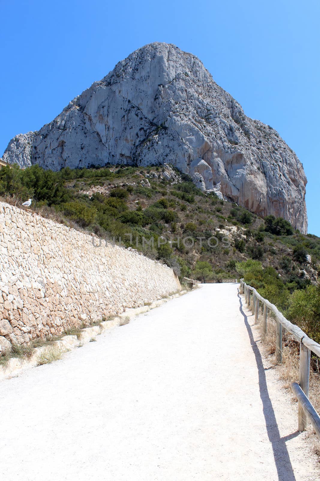 Natural Park of Penon de Ifach situated in Calp, Spain. A massive limestone outcrop emerging from the sea and linked to the shore by rock debris. Is home to numerous rare plants and over 300 species of animals, and nesting site for sea birds and other birds.