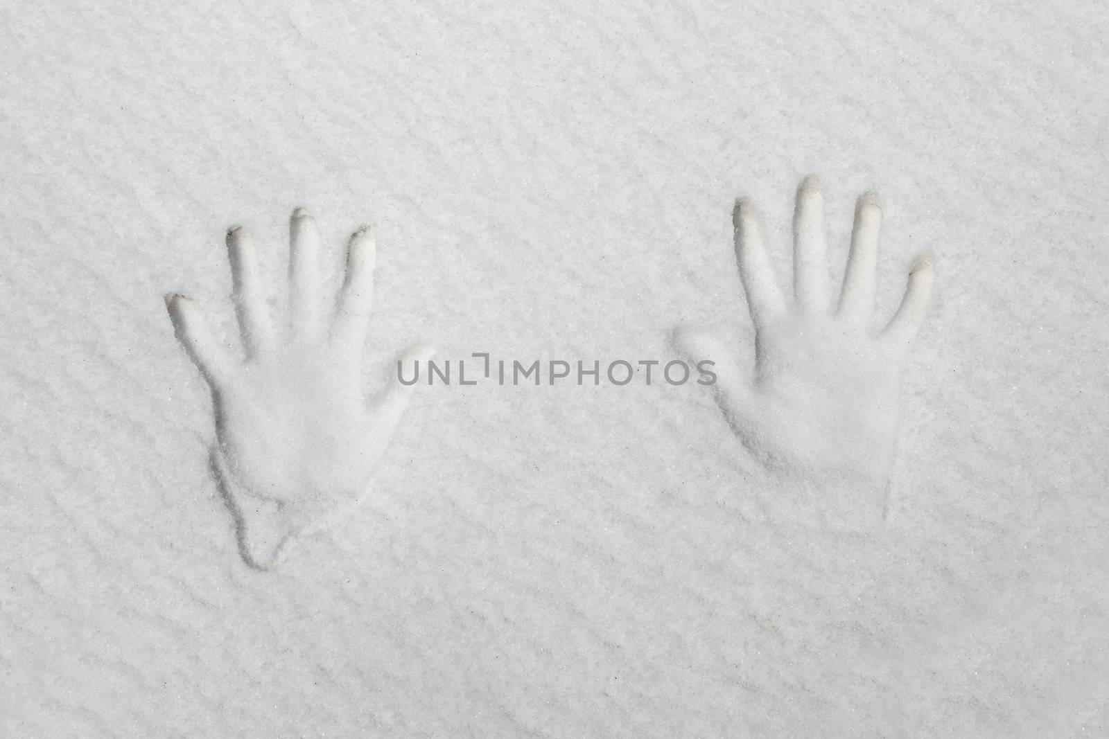 Snow with a pair of handprints