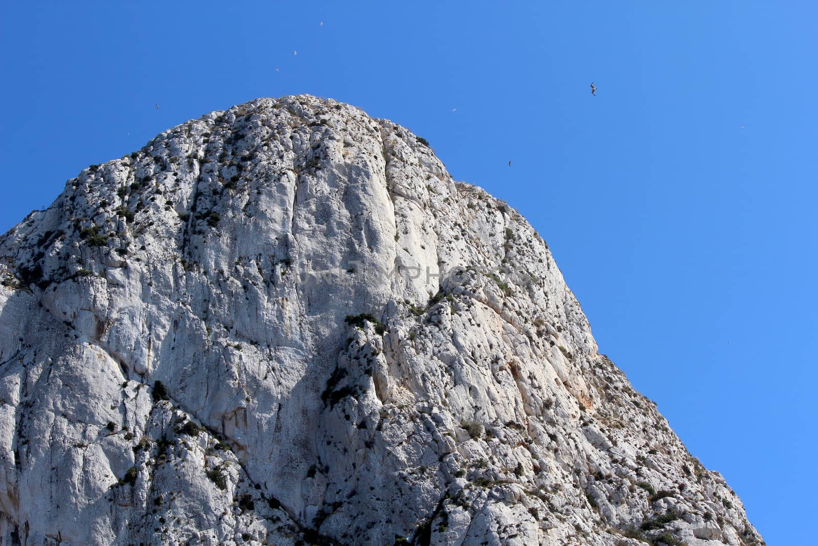 Natural Park of Penon de Ifach situated in Calp, Spain. A massive limestone outcrop emerging from the sea and linked to the shore by rock debris. Is home to numerous rare plants and over 300 species of animals, and nesting site for sea birds and other birds.