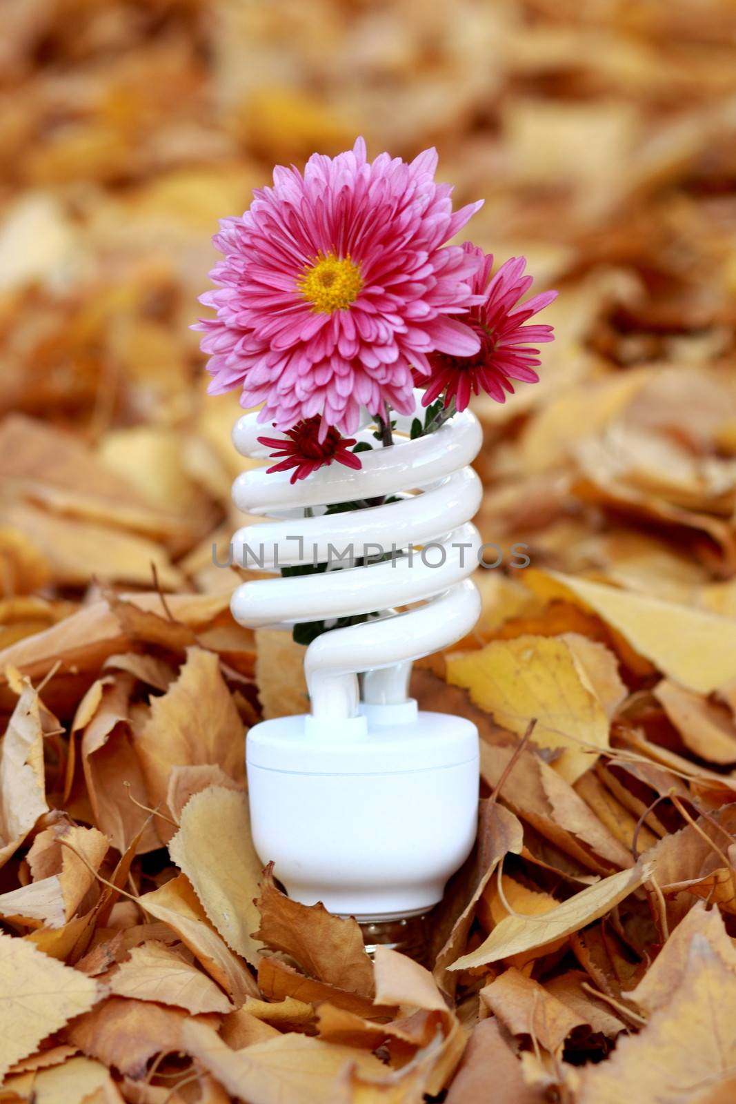 Energy-saving fluorescent lamp with a flower in the leaves