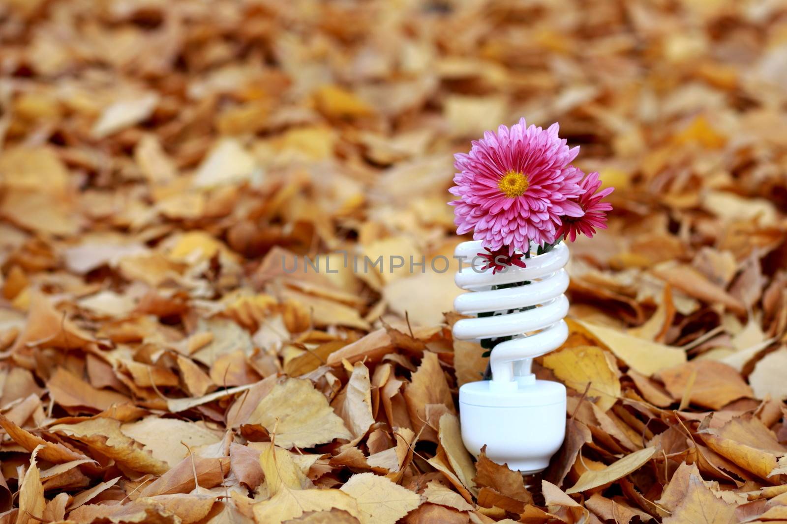 Energy-saving fluorescent lamp with a flower in the leaves