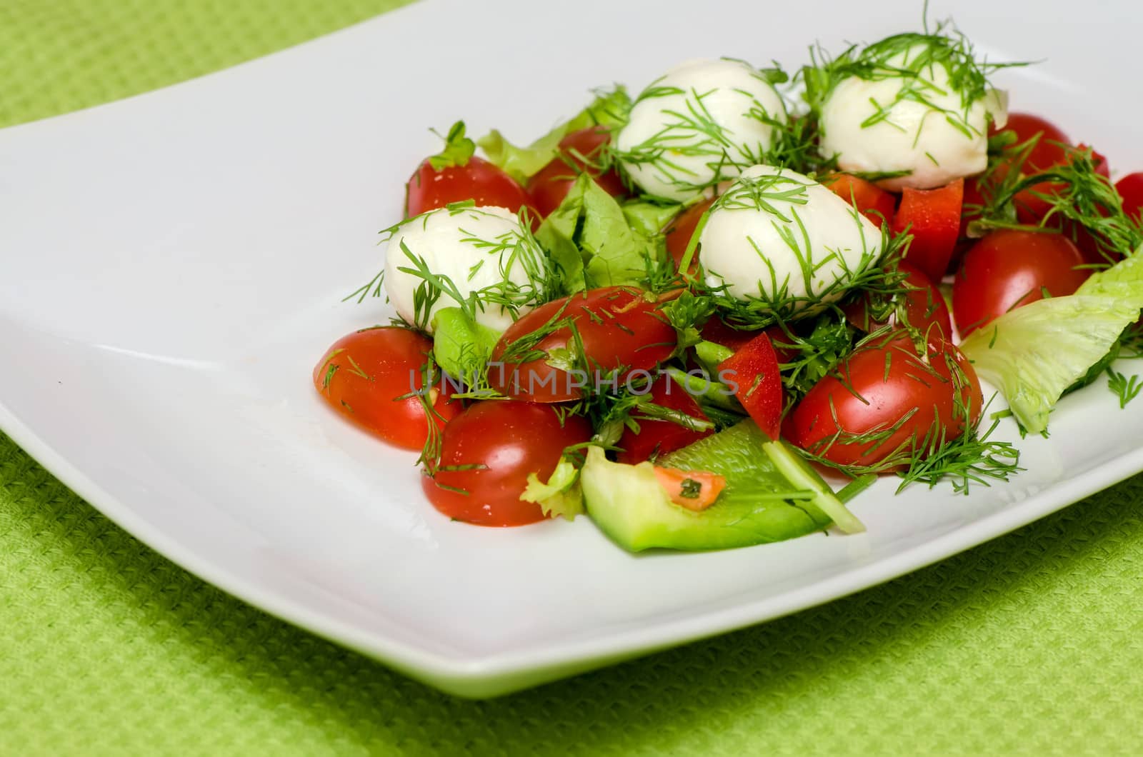 vegetable salad with mozzarella cheese on a white plate