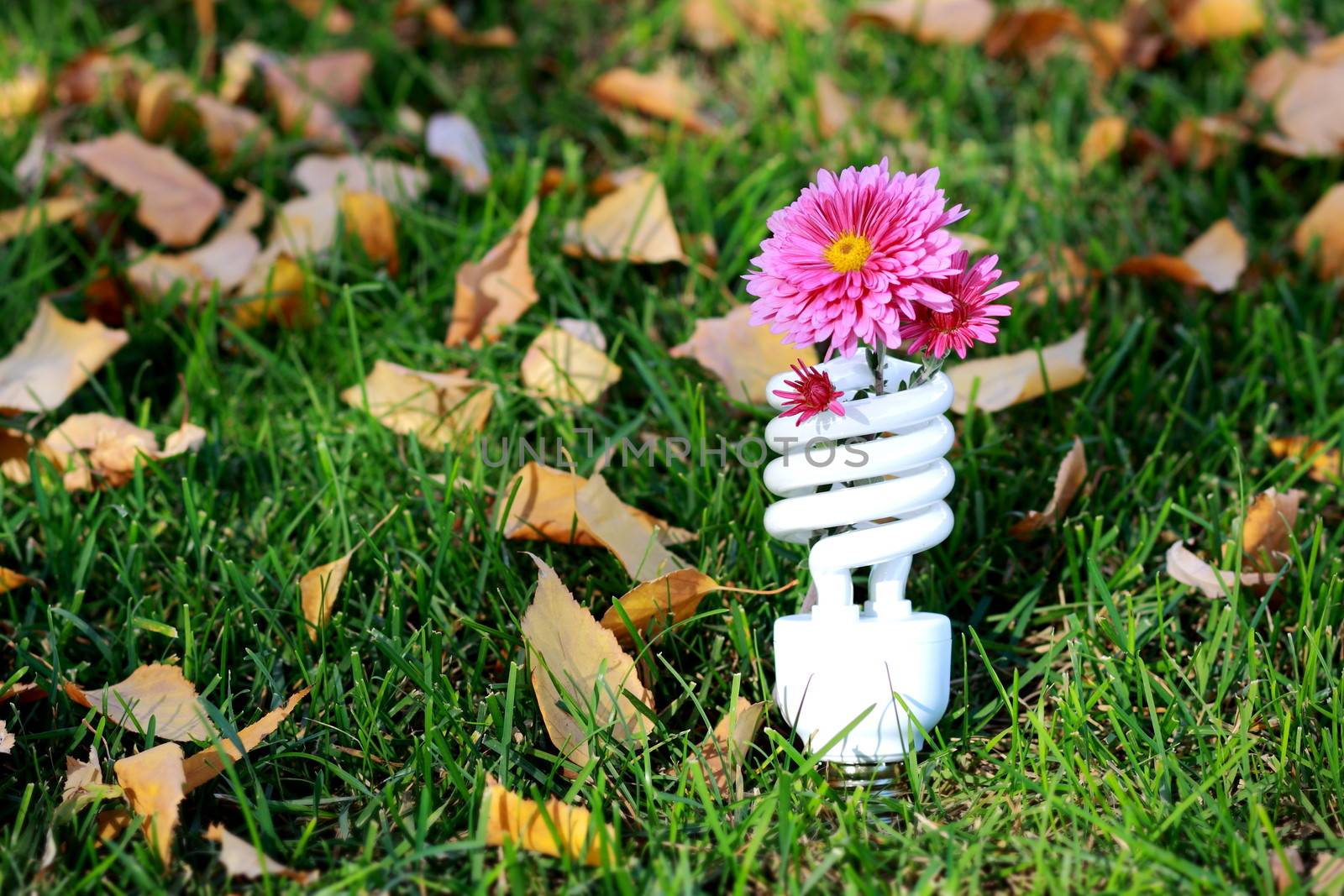 Energy-saving fluorescent lamp with a flower on the green grass