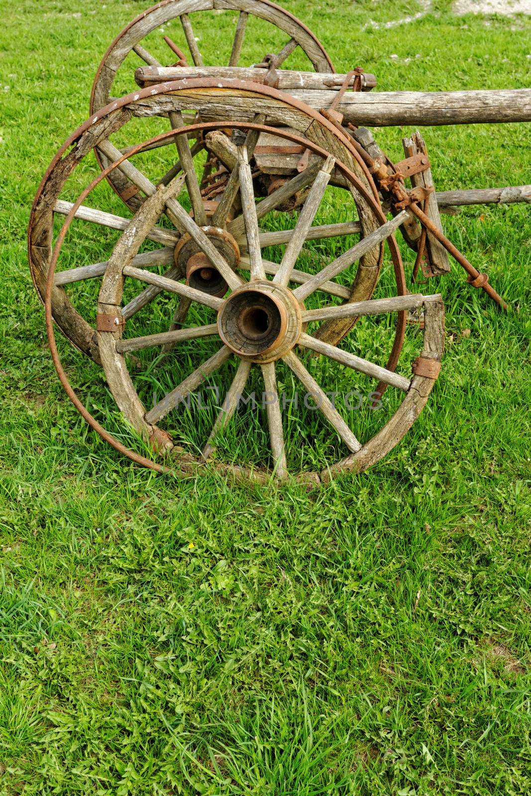 old wooden wheel spokes, by NagyDodo