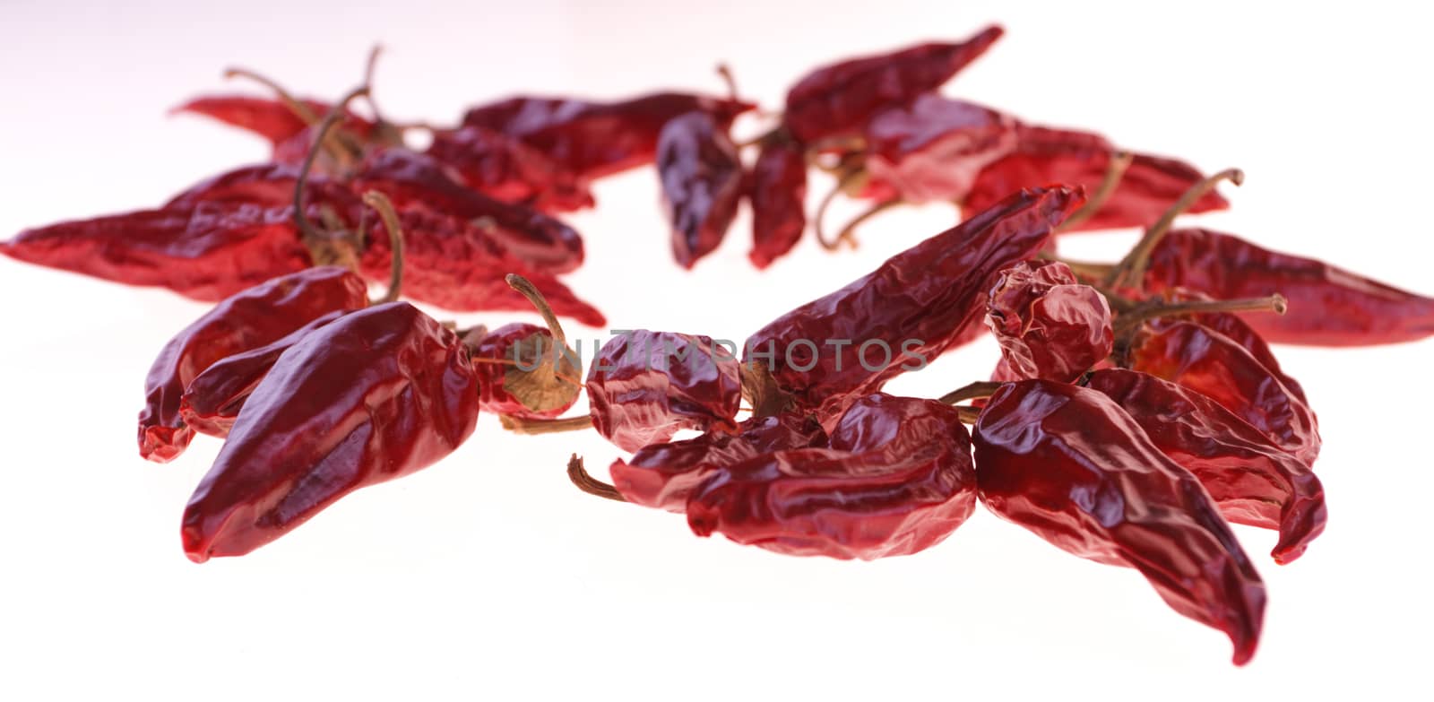 red pepper on white background by NagyDodo