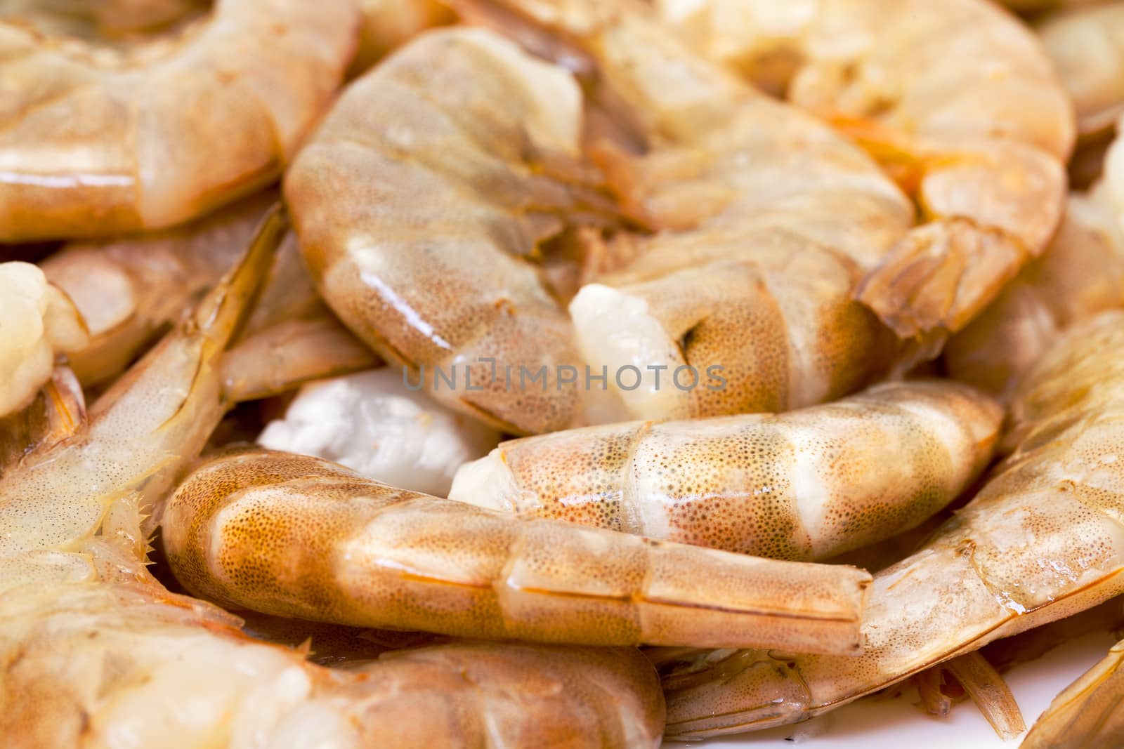 Raw headless prawns closeup, backdrop