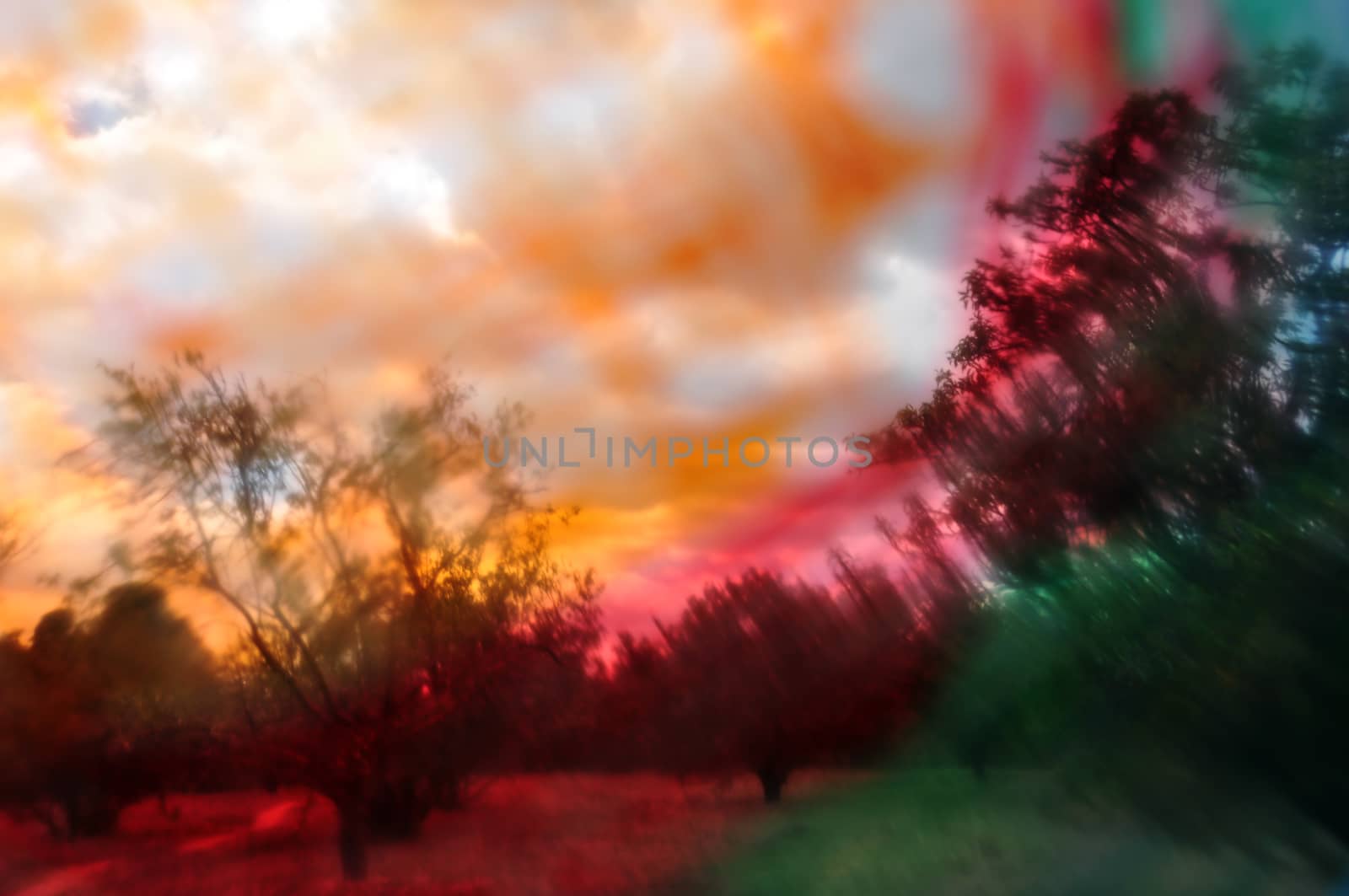 Colorful abstract landscape trees blur and forest path through paint smudged lens.