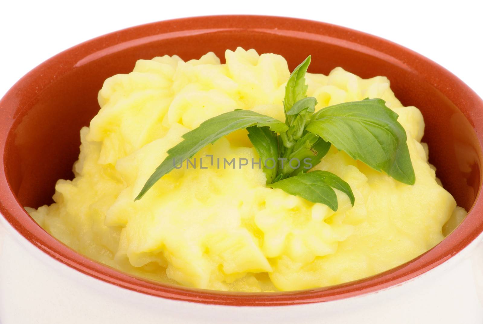 Classical Mashed Potato in Bowl Garnished with Green Basil Leafs closeup on white background