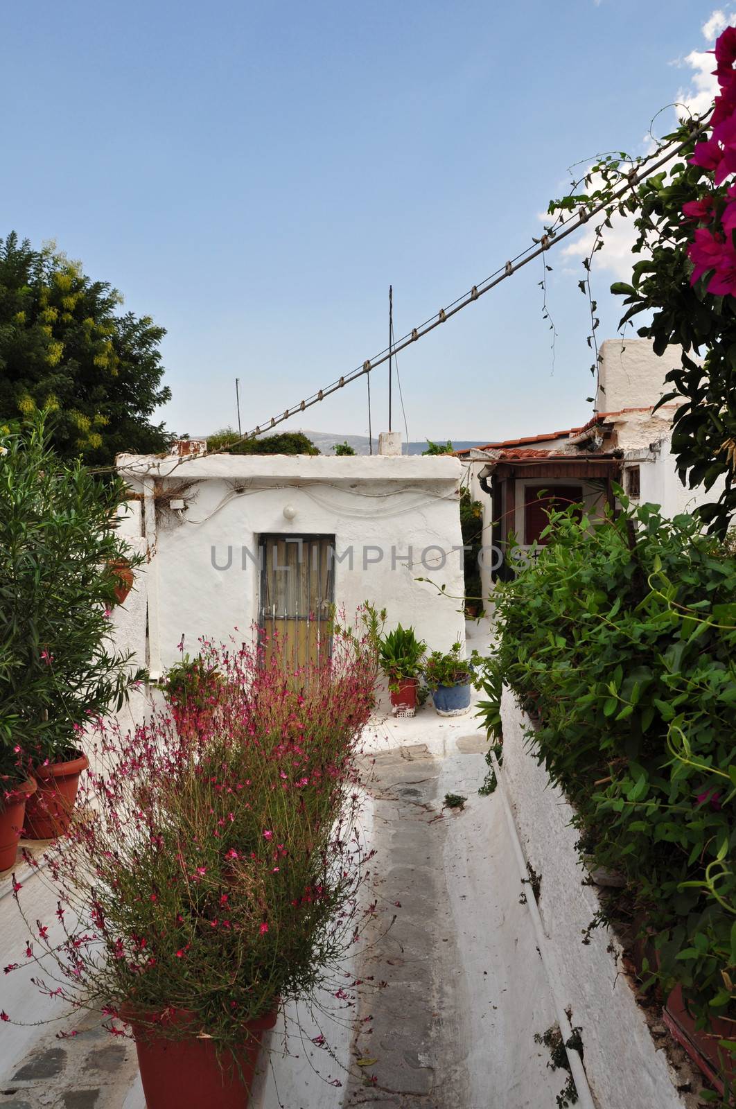 Narrow footpath with plants and small houses in the traditional Anafiotika neighborhood, village style architecture in the city. Plaka, Athens Greece.