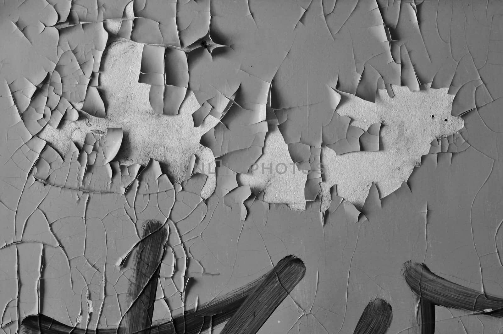 Peeling paint wall background texture. Black and white.