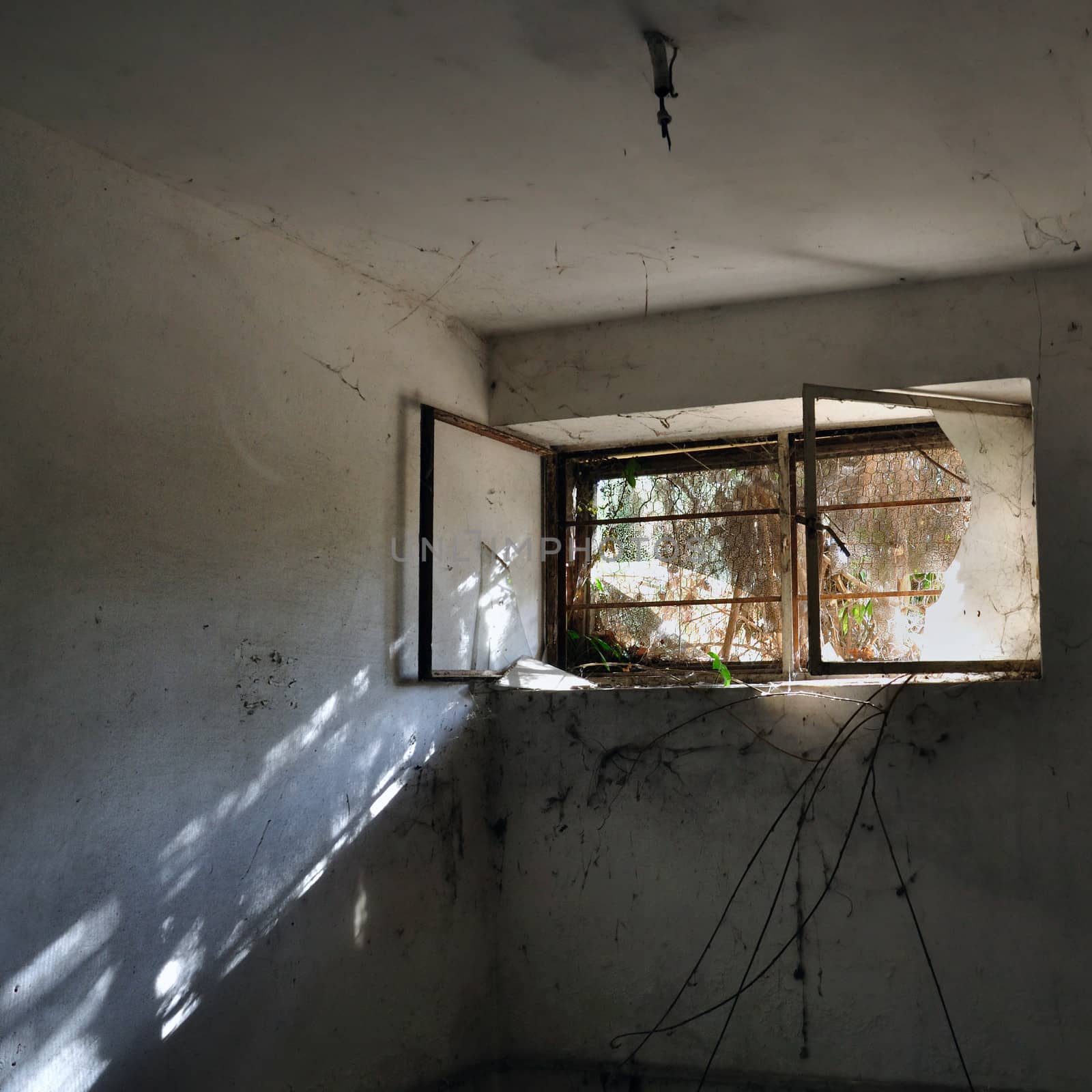 Sunlight reflection in dark room and branches creeping through broken window of abandoned house.