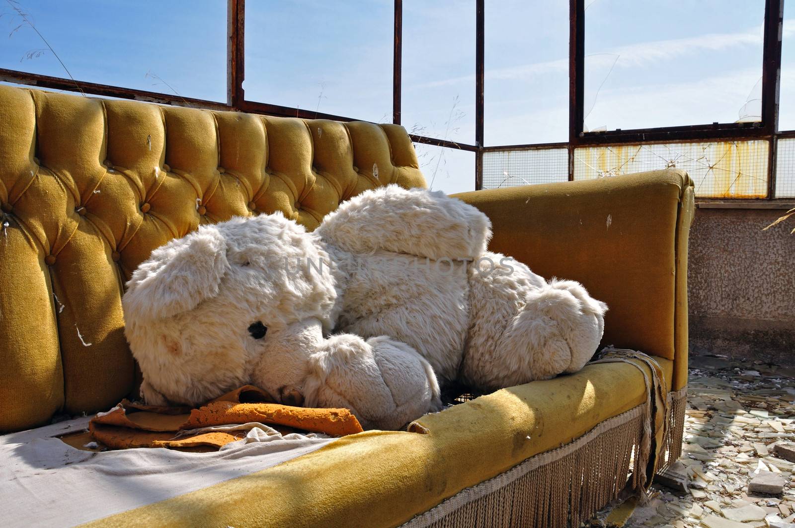 teddy bear and couch in abandoned building by sirylok