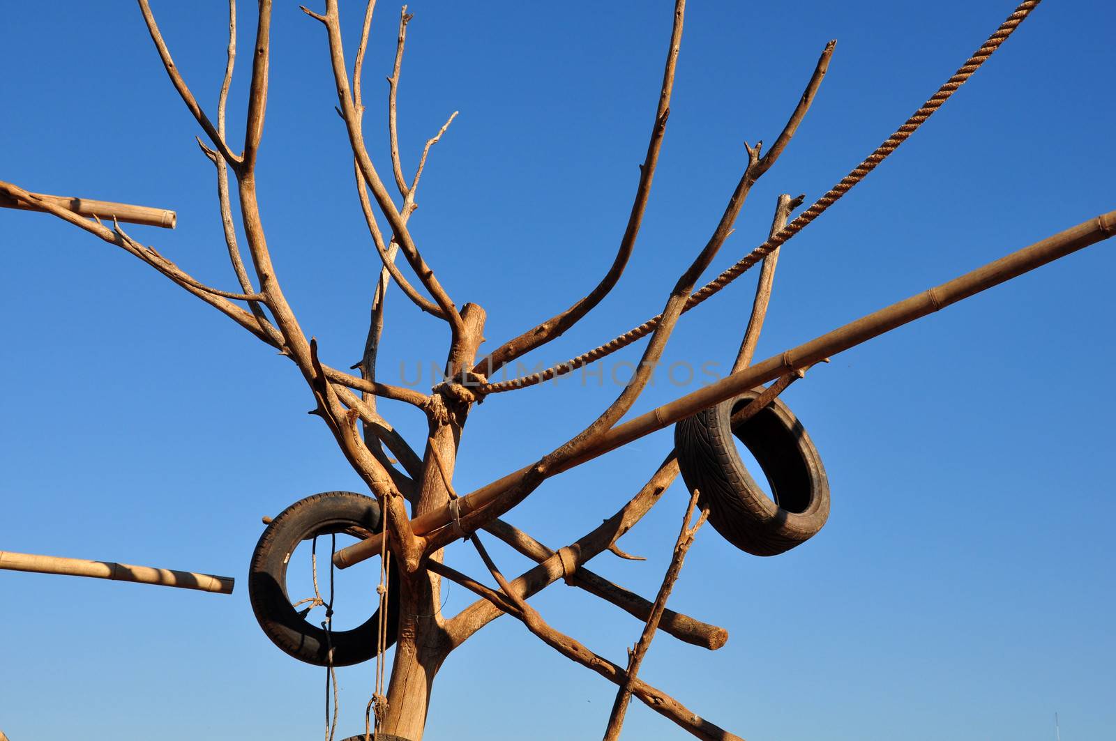 Tree with rubber tires and rope for animals at the zoo.