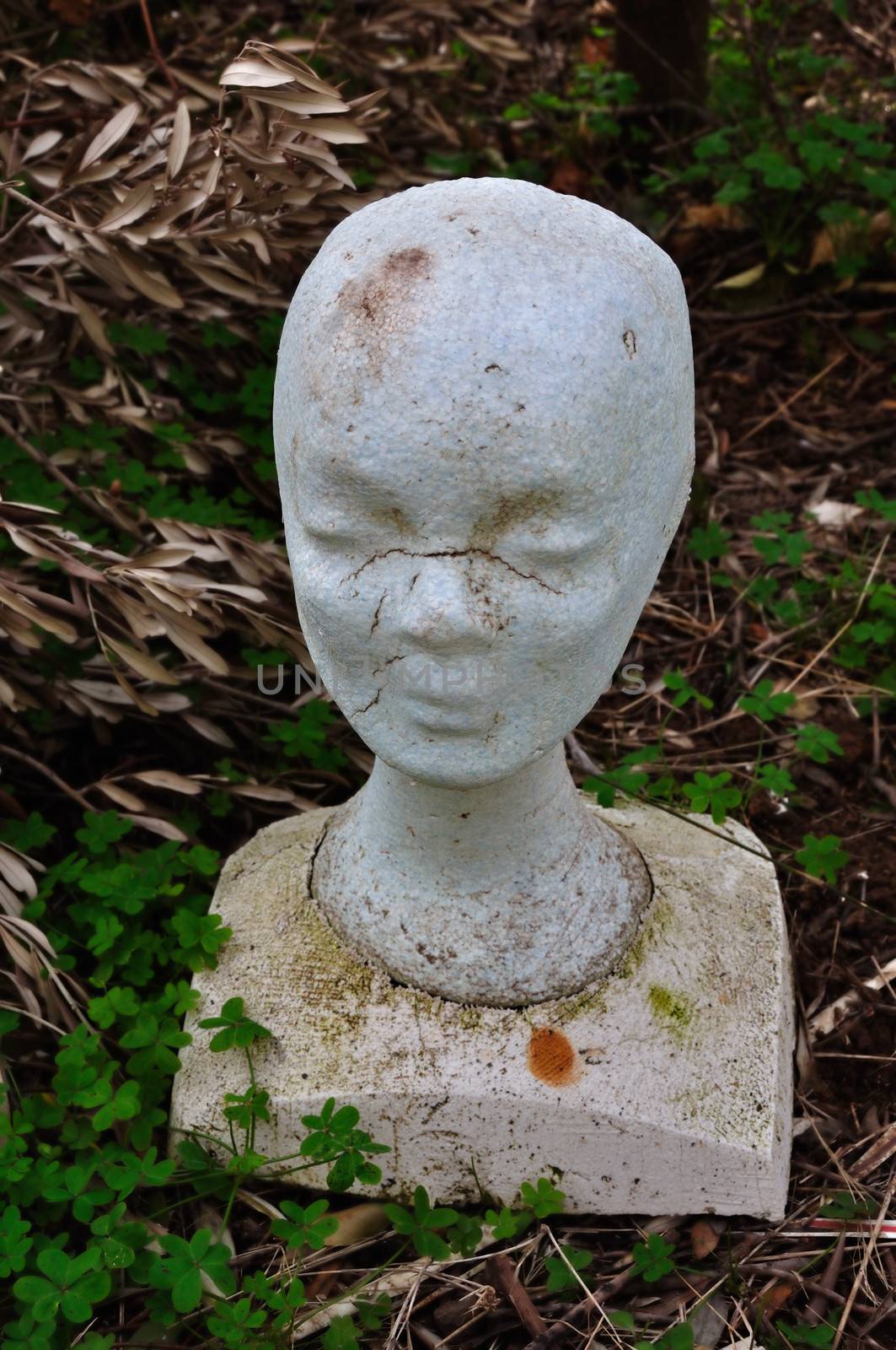 Weathered styrofoam head mannequin art model in overgrown garden.