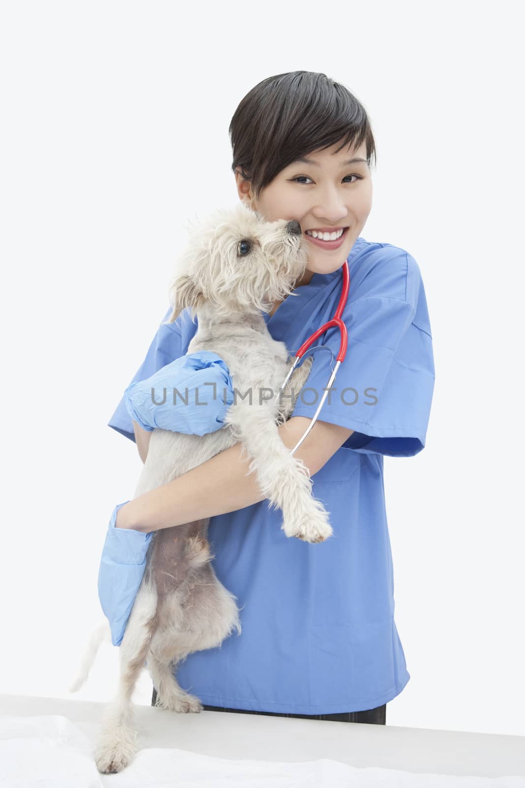 Portrait of Asian female veterinarian cuddling dog over gray background by moodboard