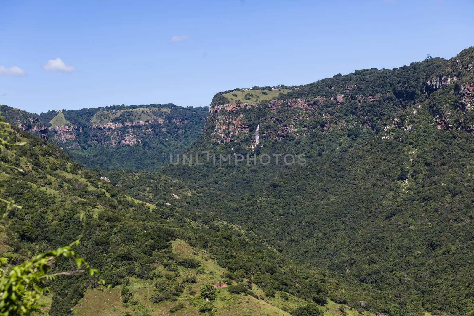 Green valley with thick vegetation landscape terrain with waterfalls .
