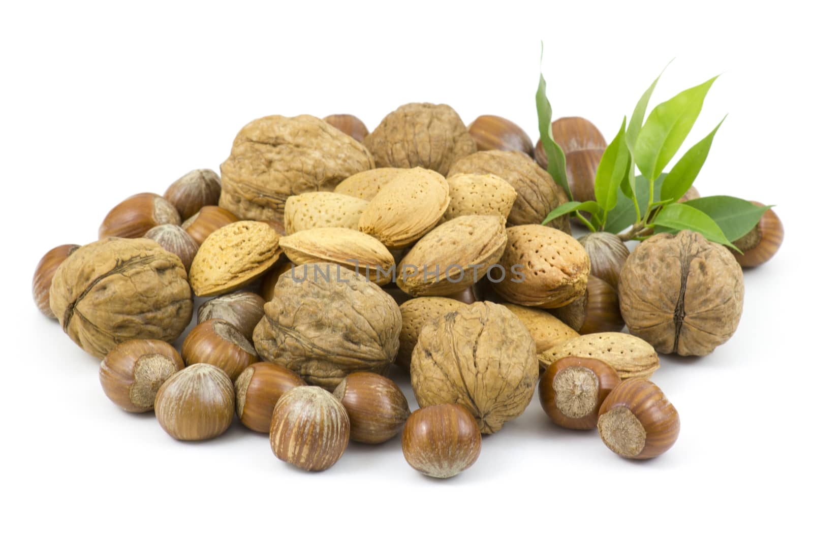 nuts on white background