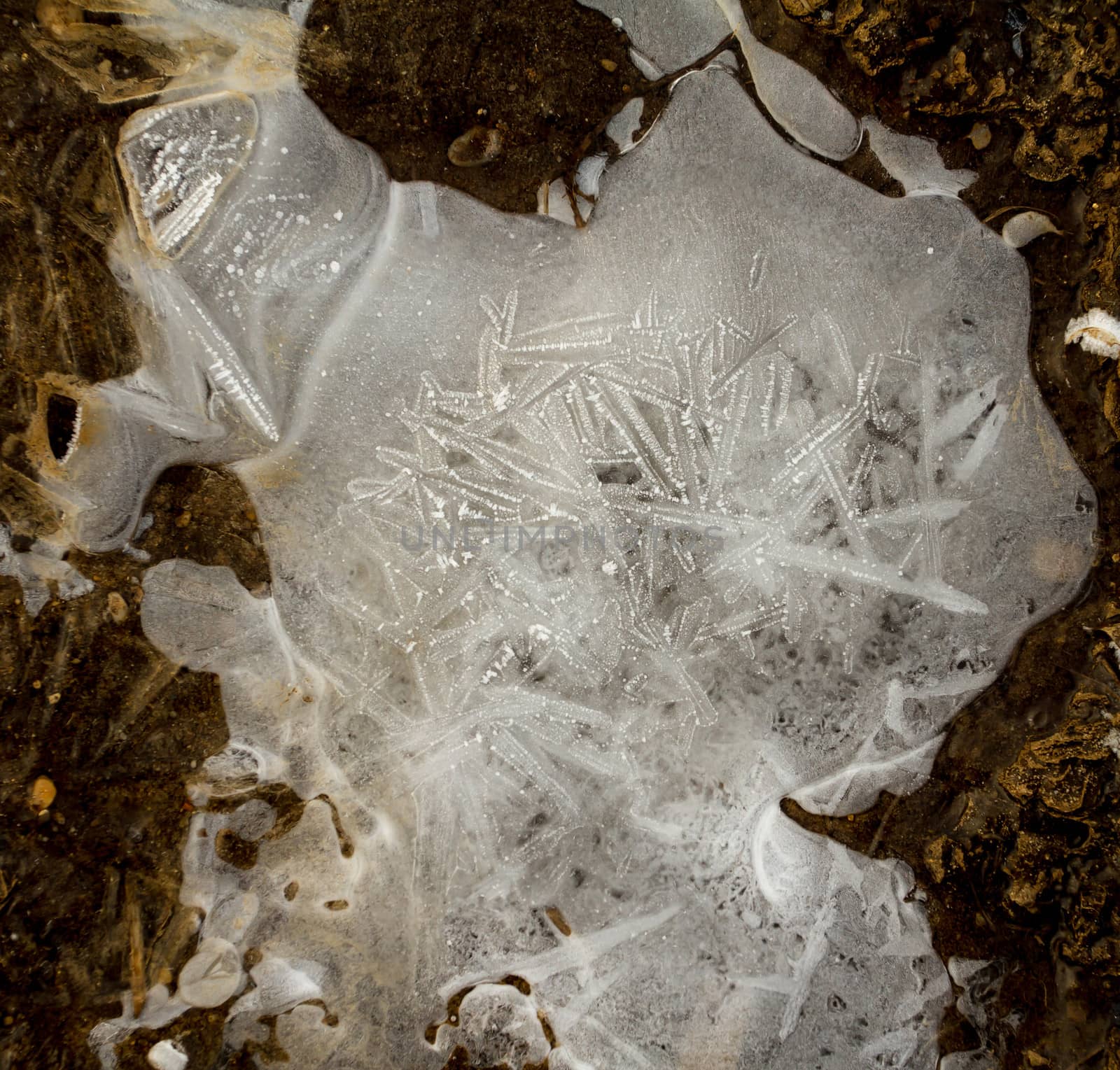 ice in the frozen earth