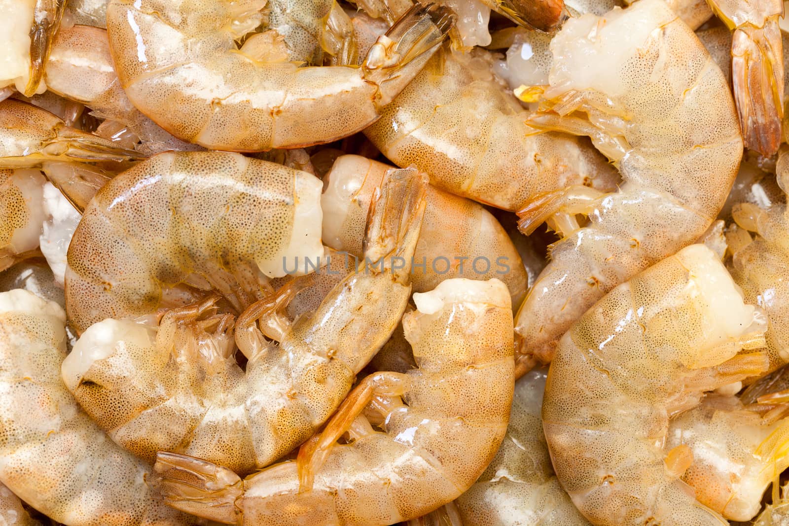 Raw headless prawns closeup, backdrop