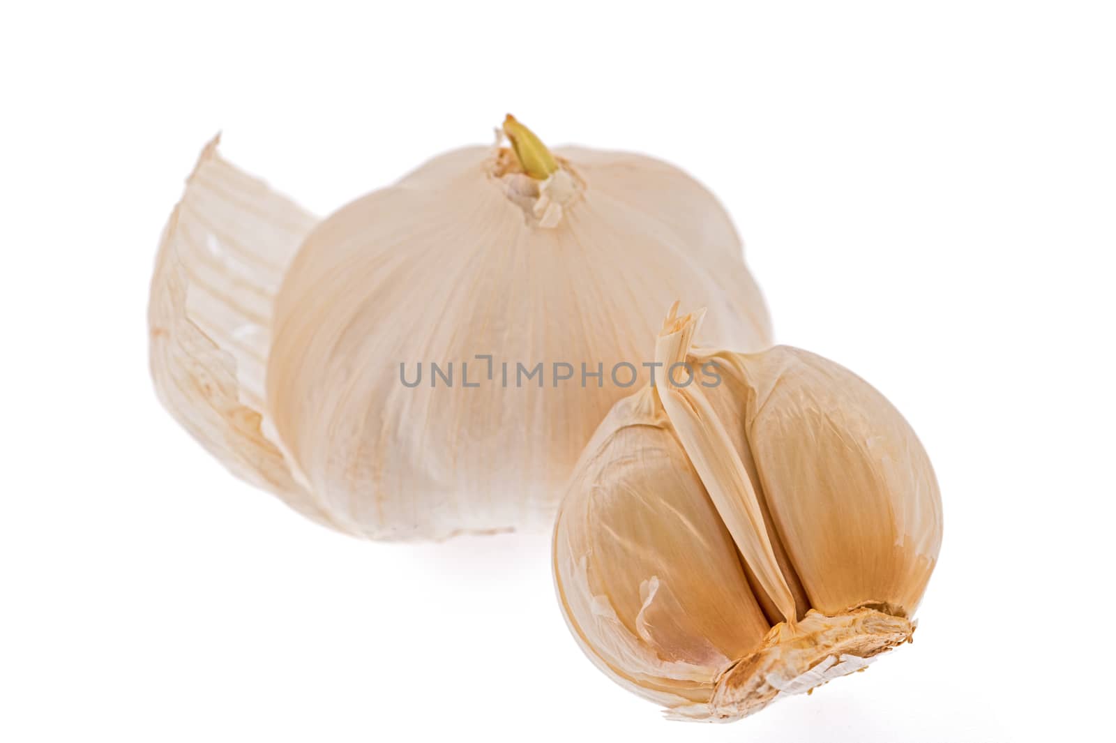 Garlic by Marcus