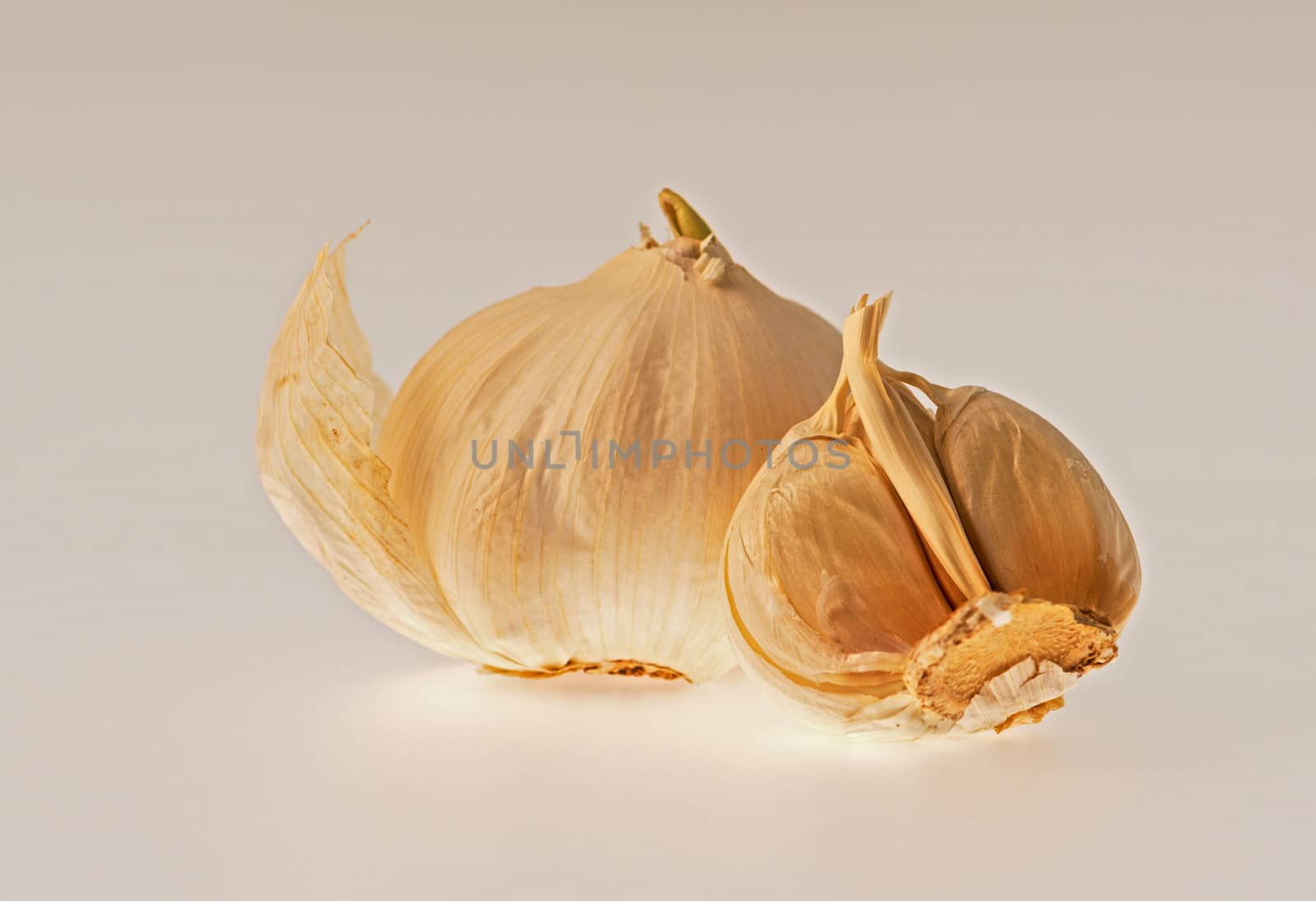 Garlic by Marcus