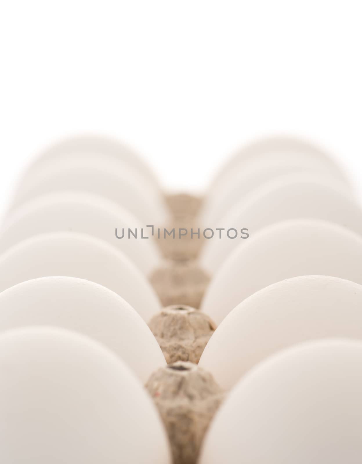 Eggs in an Egg Cartot on white background