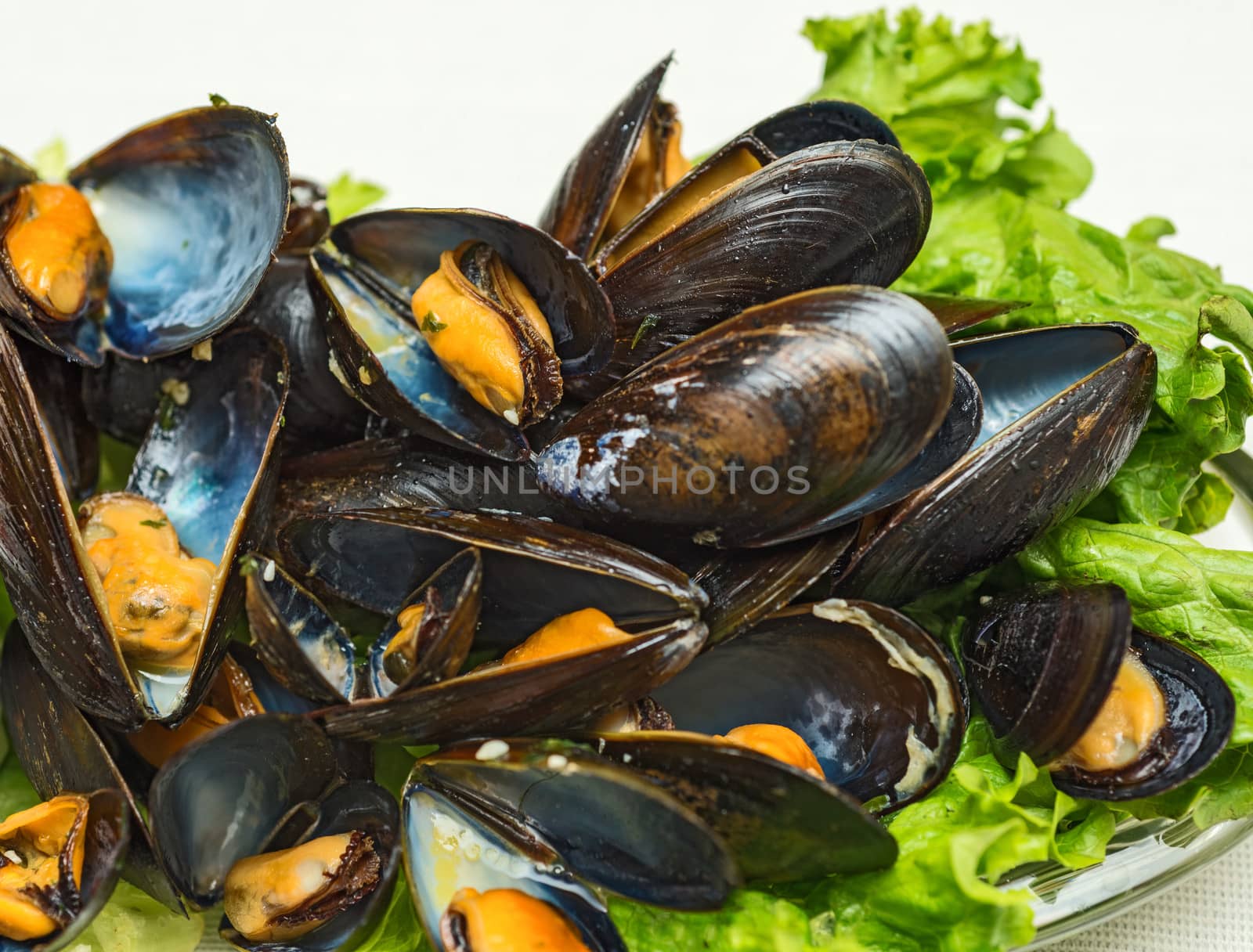 This is a plate of steamed mussels with lettuce leaves on a plate