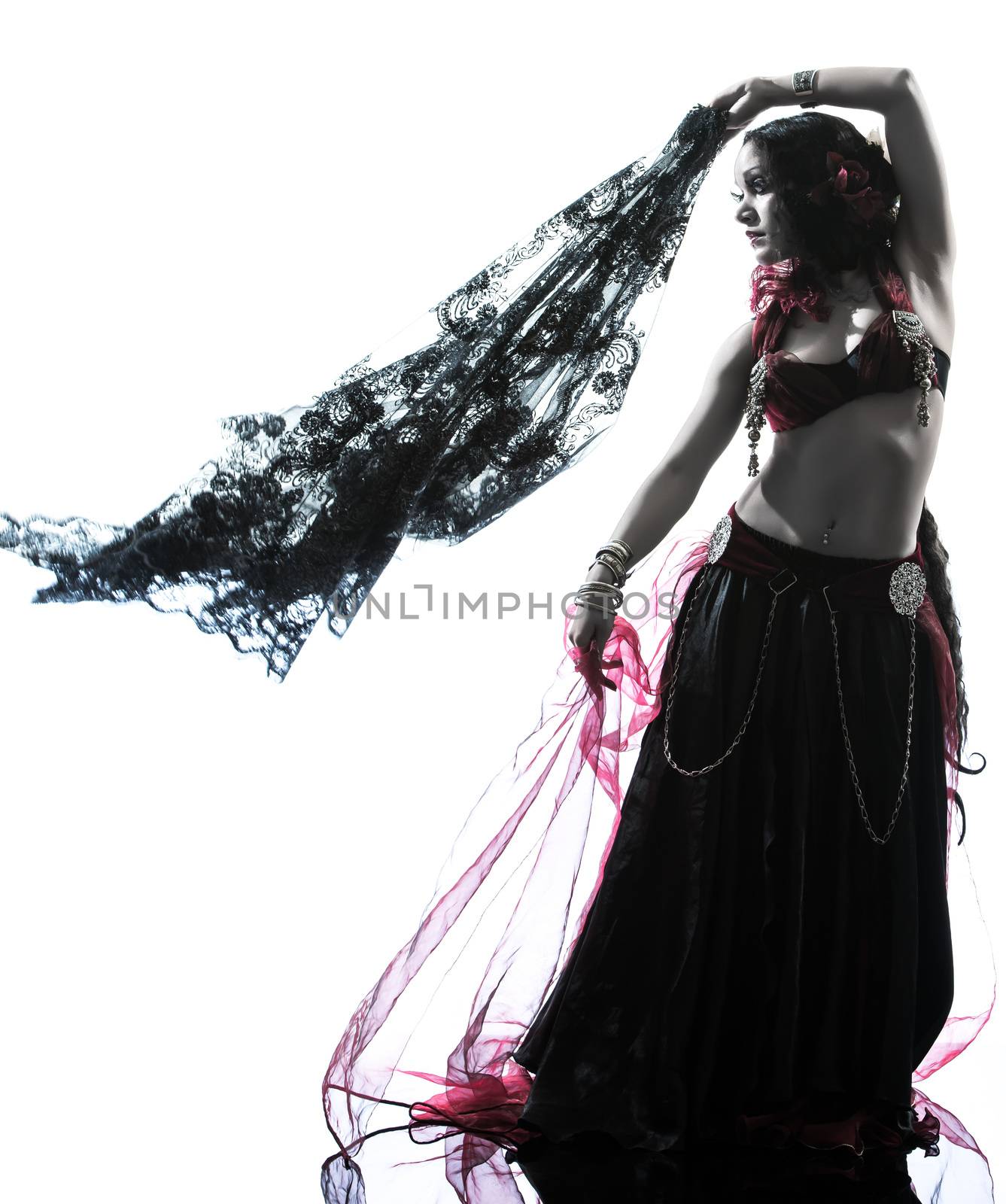 one arabic woman belly dancer dancing silhouette studio isolated on white background