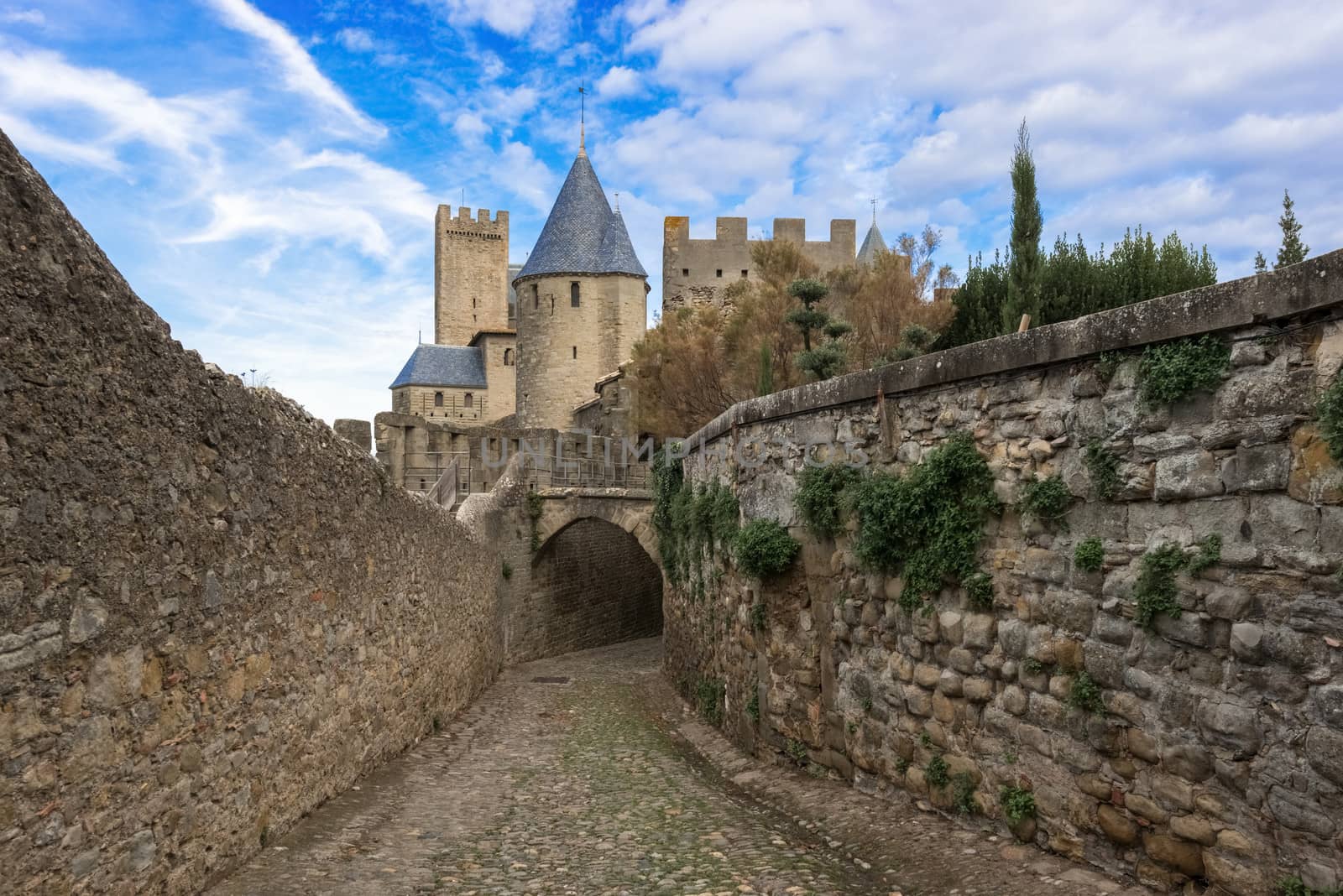 Medieval city of Carcassonne in France by Marcus