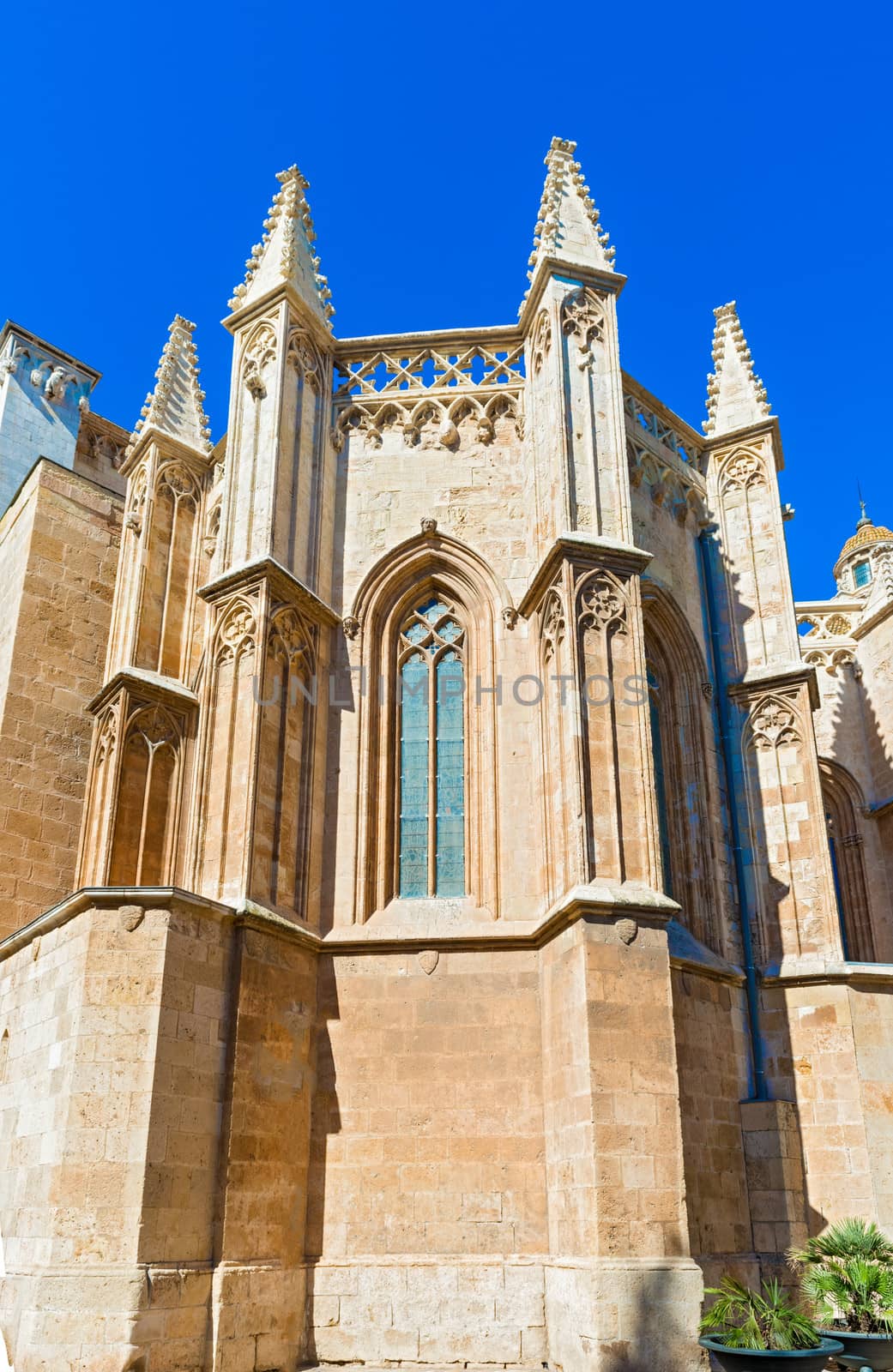 Cathedral of Saint Mary of Tarragona in Spain by Marcus