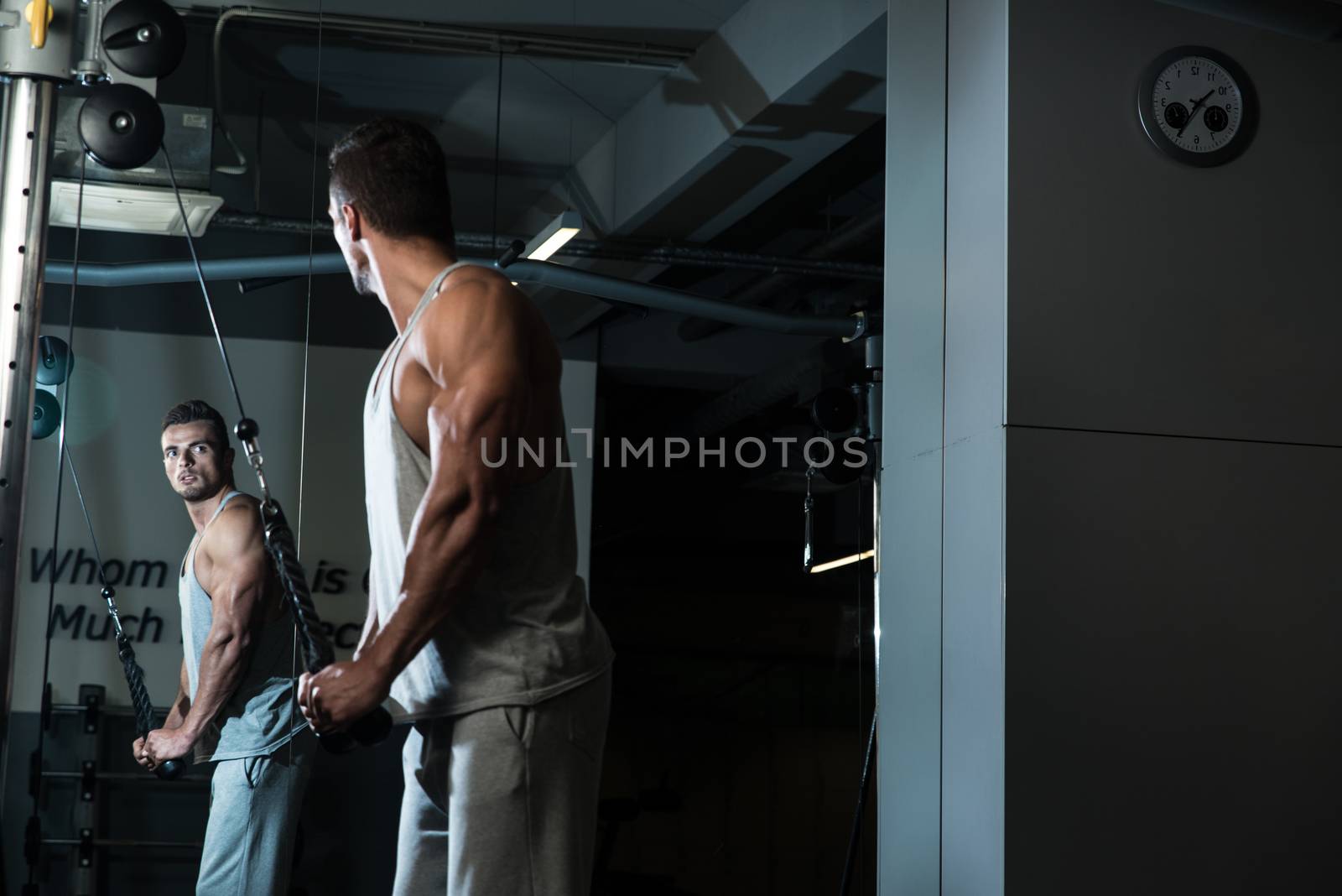 Triceps Pulldown Workout by JalePhoto