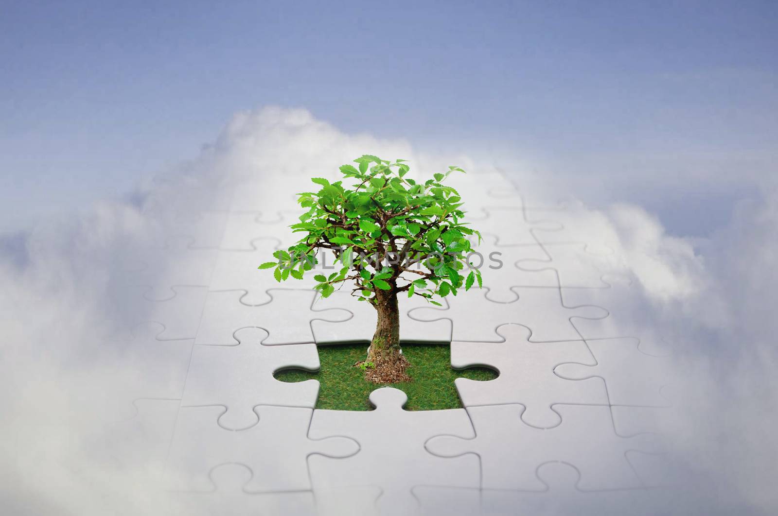 Small tree growing from a jigsaw in the sky symbolising the growth of new ideas and discovering solutions 