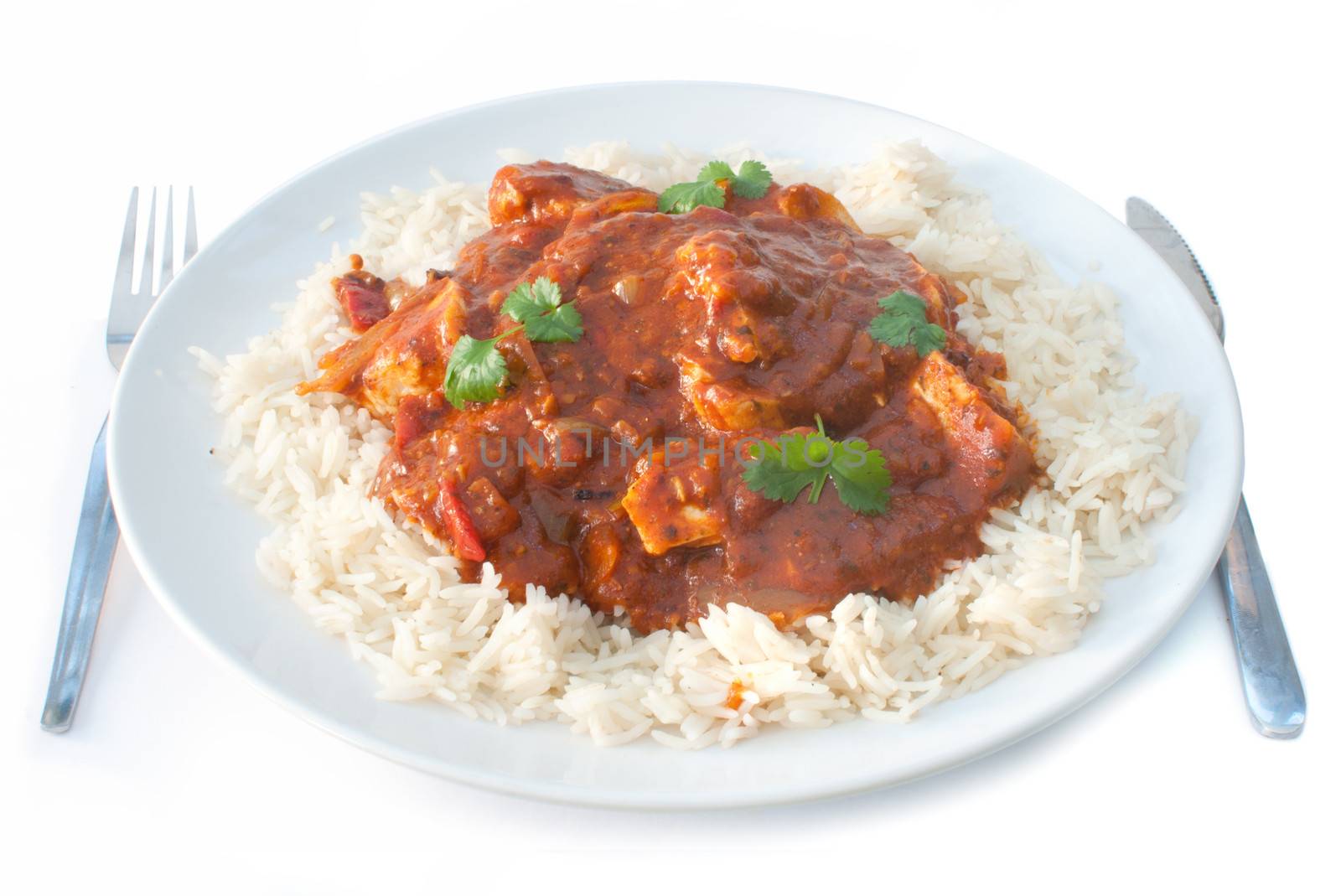 Plate of chicken curry with coriander 
