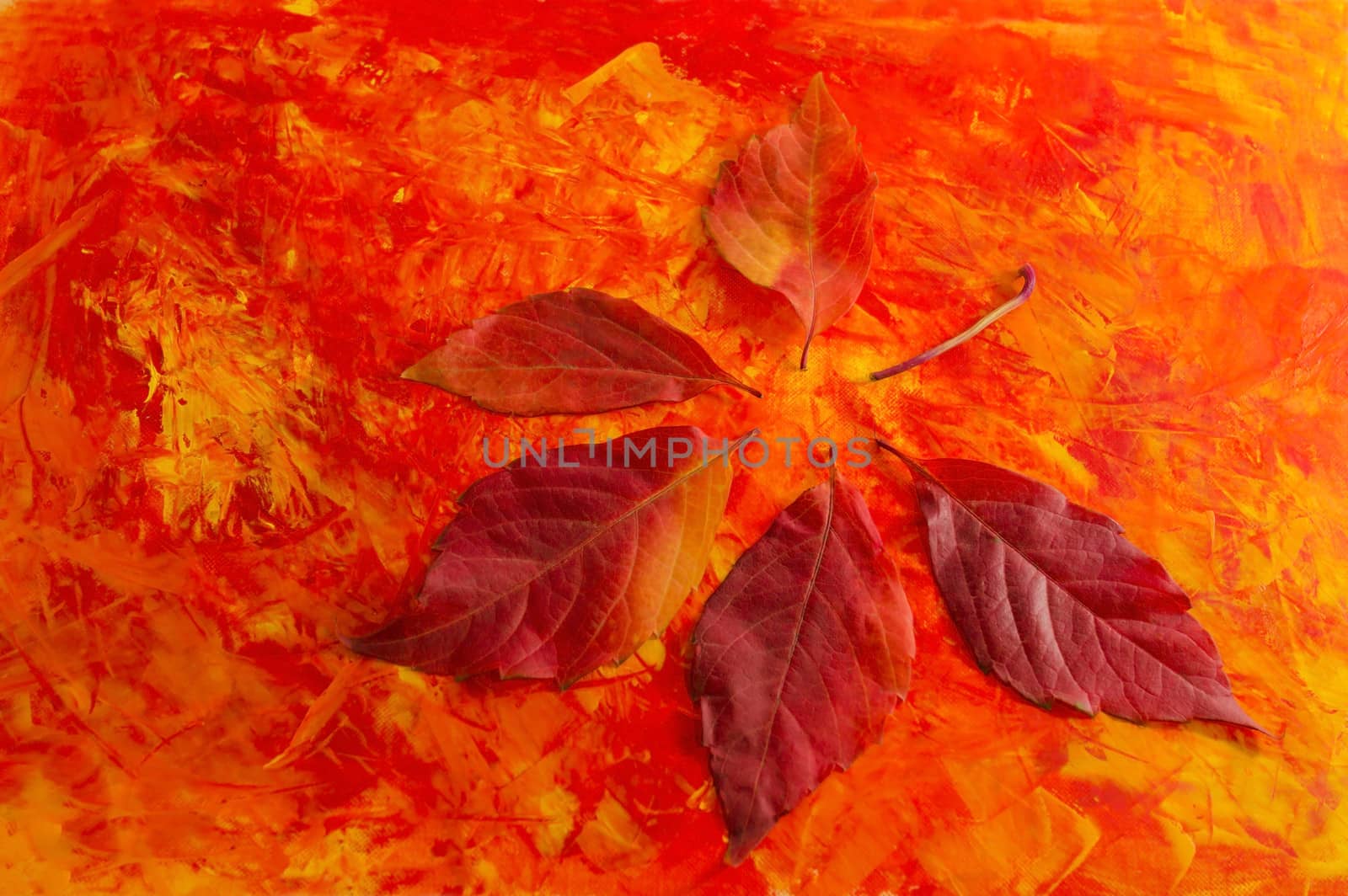 Autumn leaves on red and yellow background