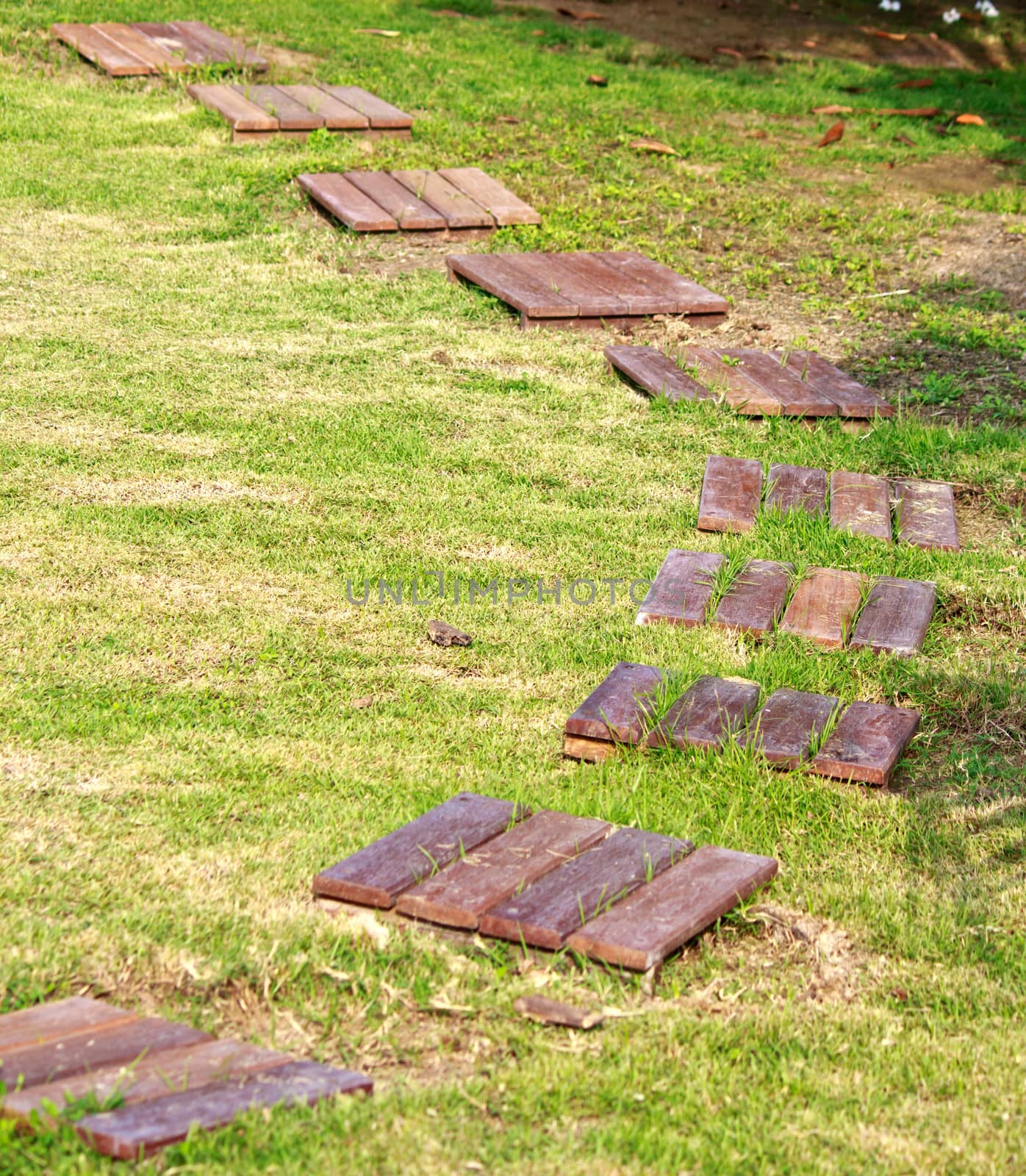 Walk path in the yard made of wood