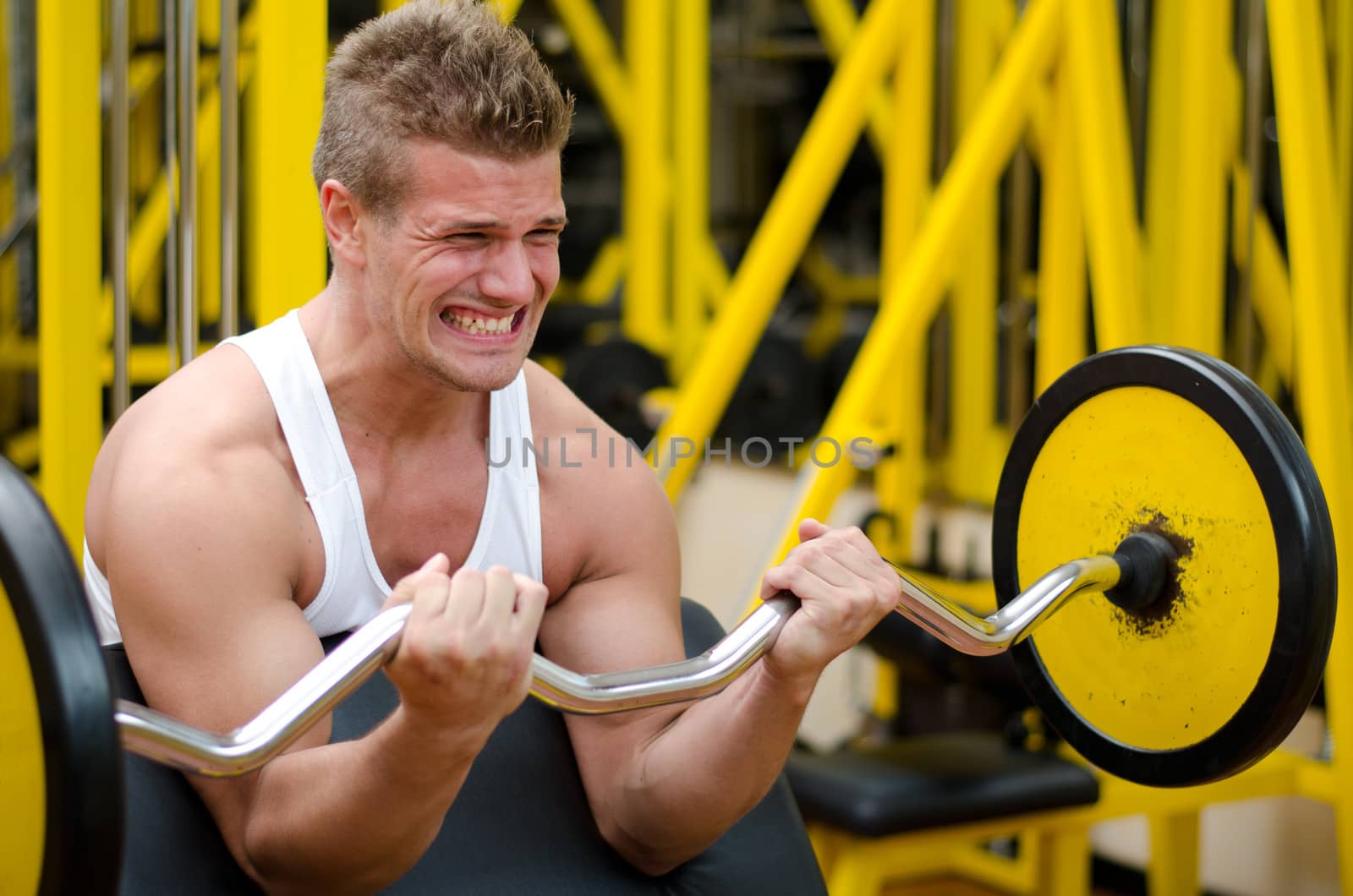 Handsome young man training biceps lifting barbell on bench in a gym