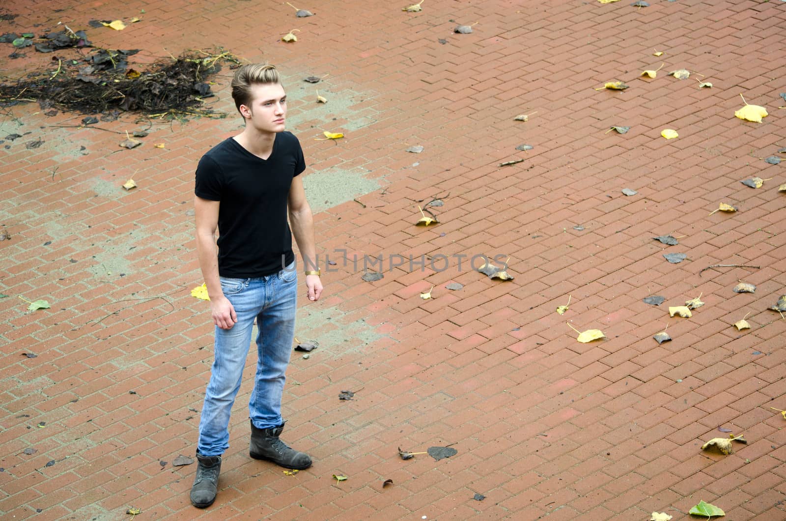 Full figure shot of attractive young man alone in large empty space with fallen leaves