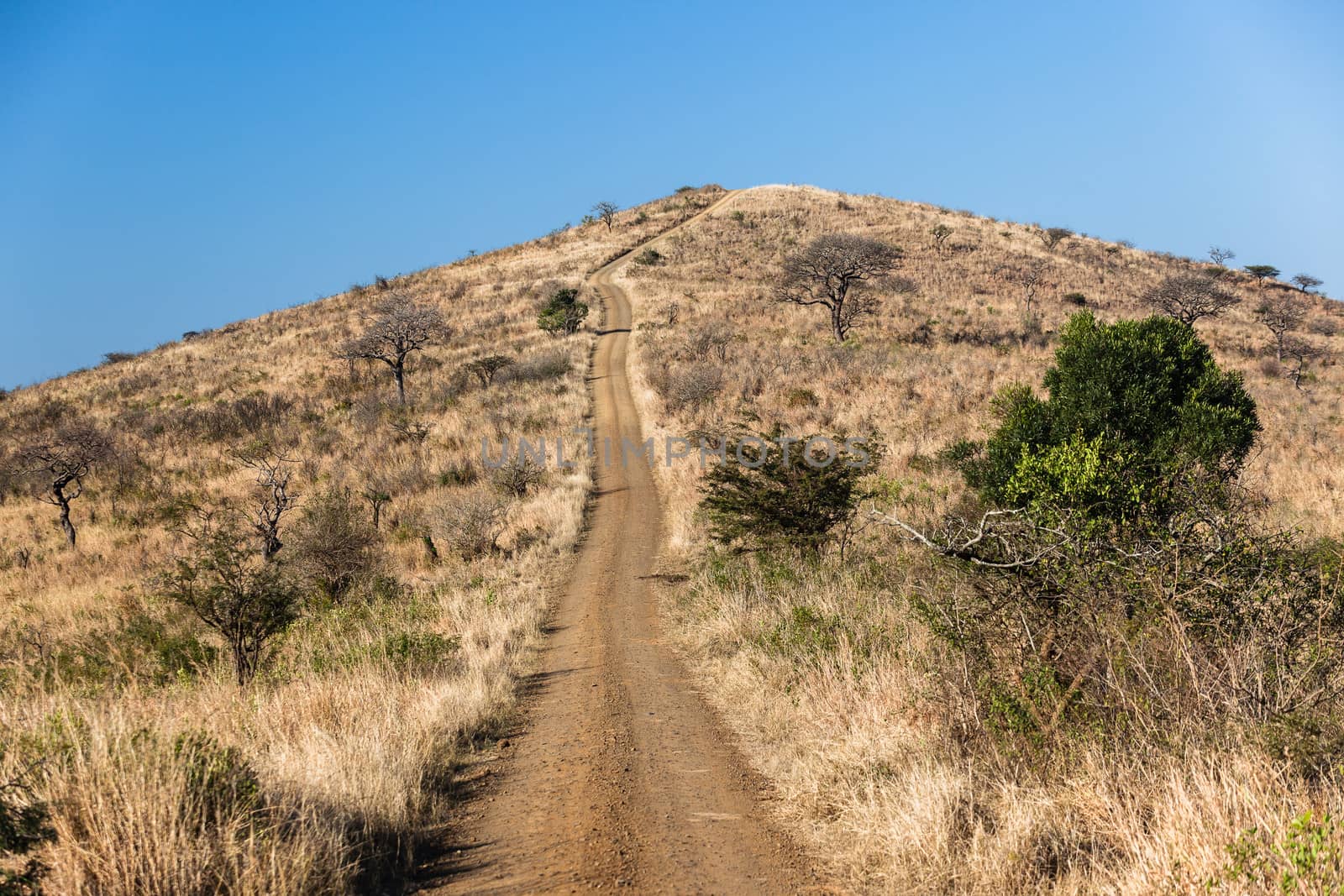 Long Dirt Road Hill Climb by ChrisVanLennepPhoto